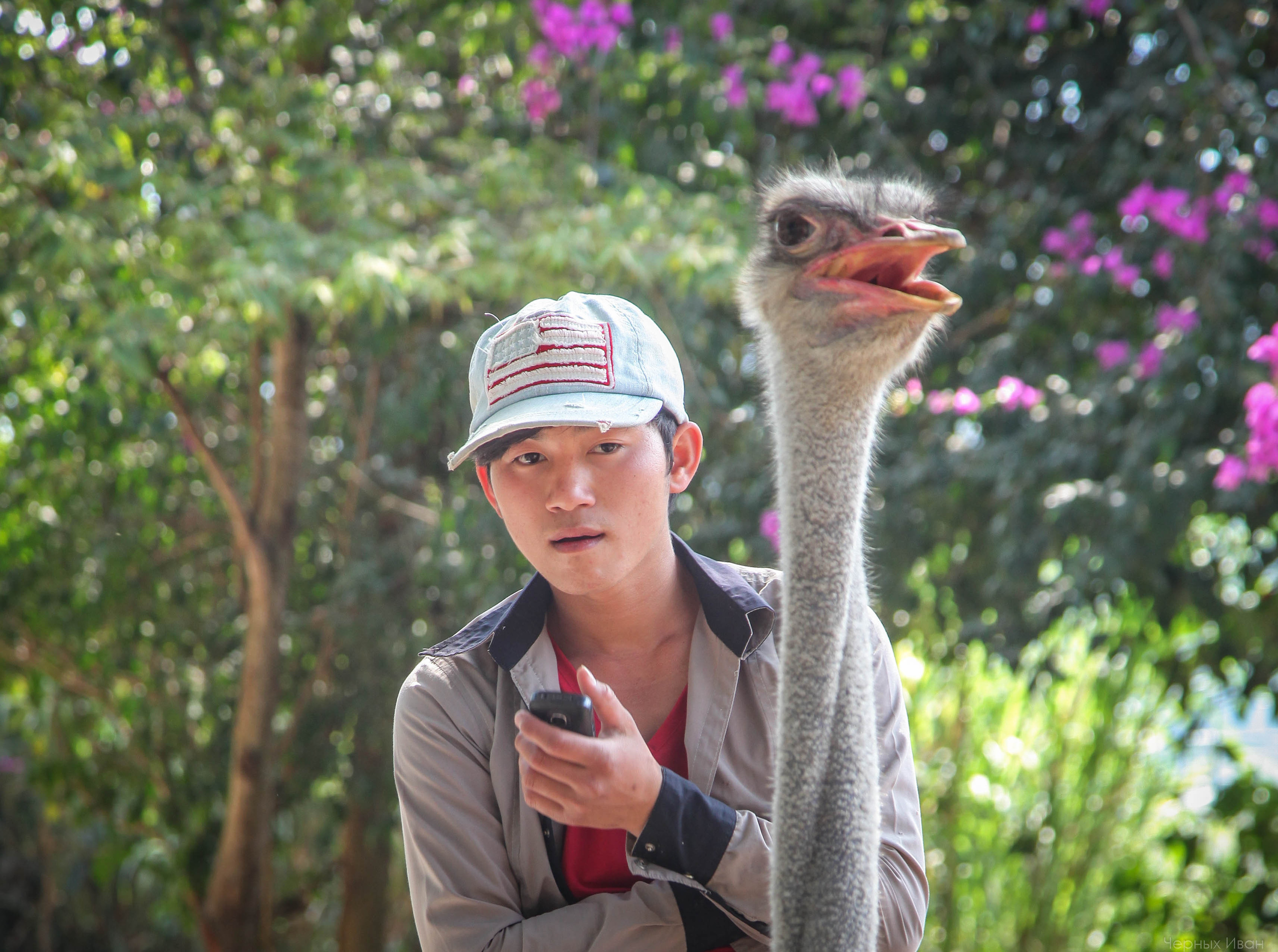 ВЬЕТНАМ. Стрит-фотография, полная абсурда, идиотизма и красоты