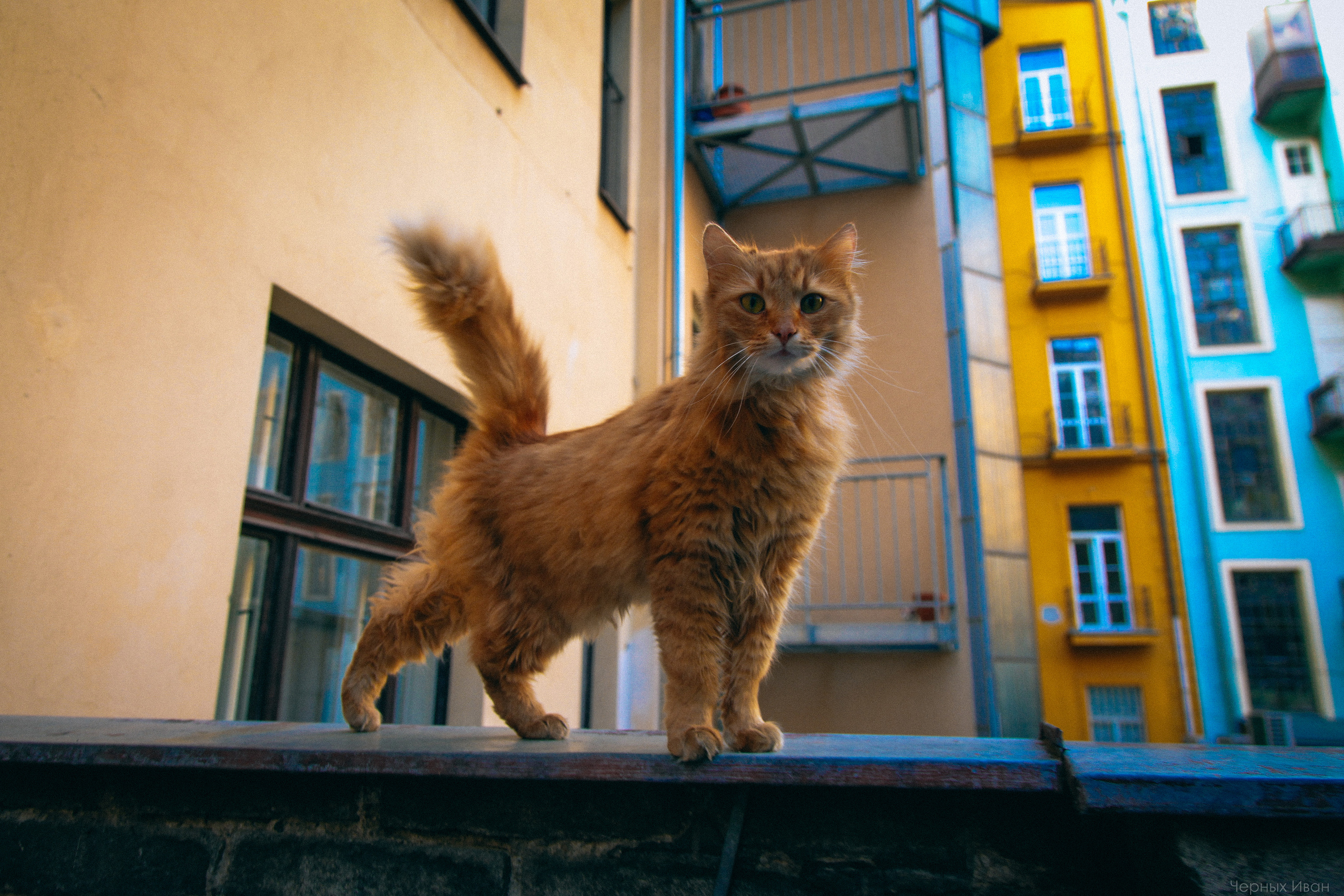 ЧЕХИЯ. Стрит-фотография, полная абсурда, идиотизма и красоты