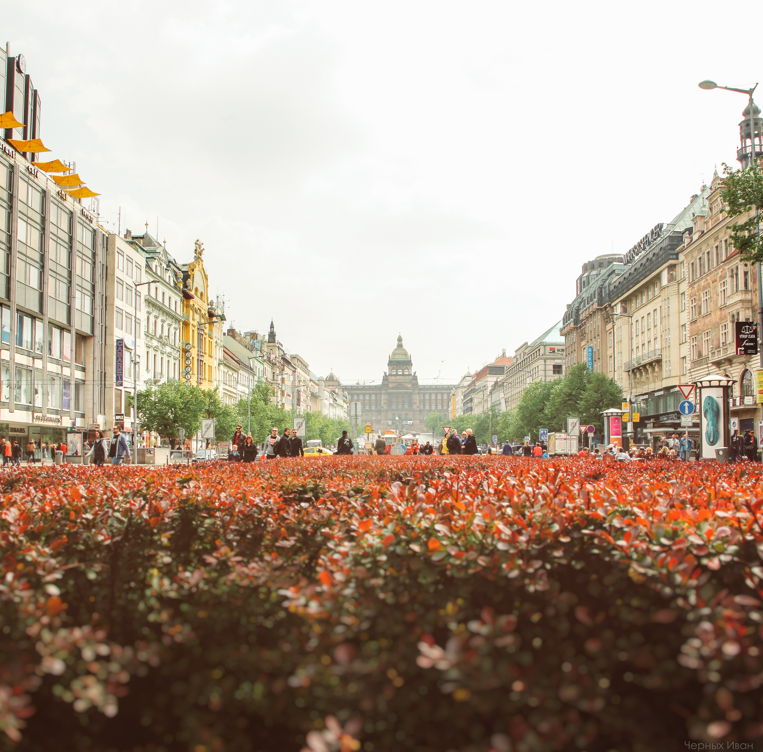 ПЕЙЗАЖИ. Стрит-фотография, полная абсурда, идиотизма и красоты
