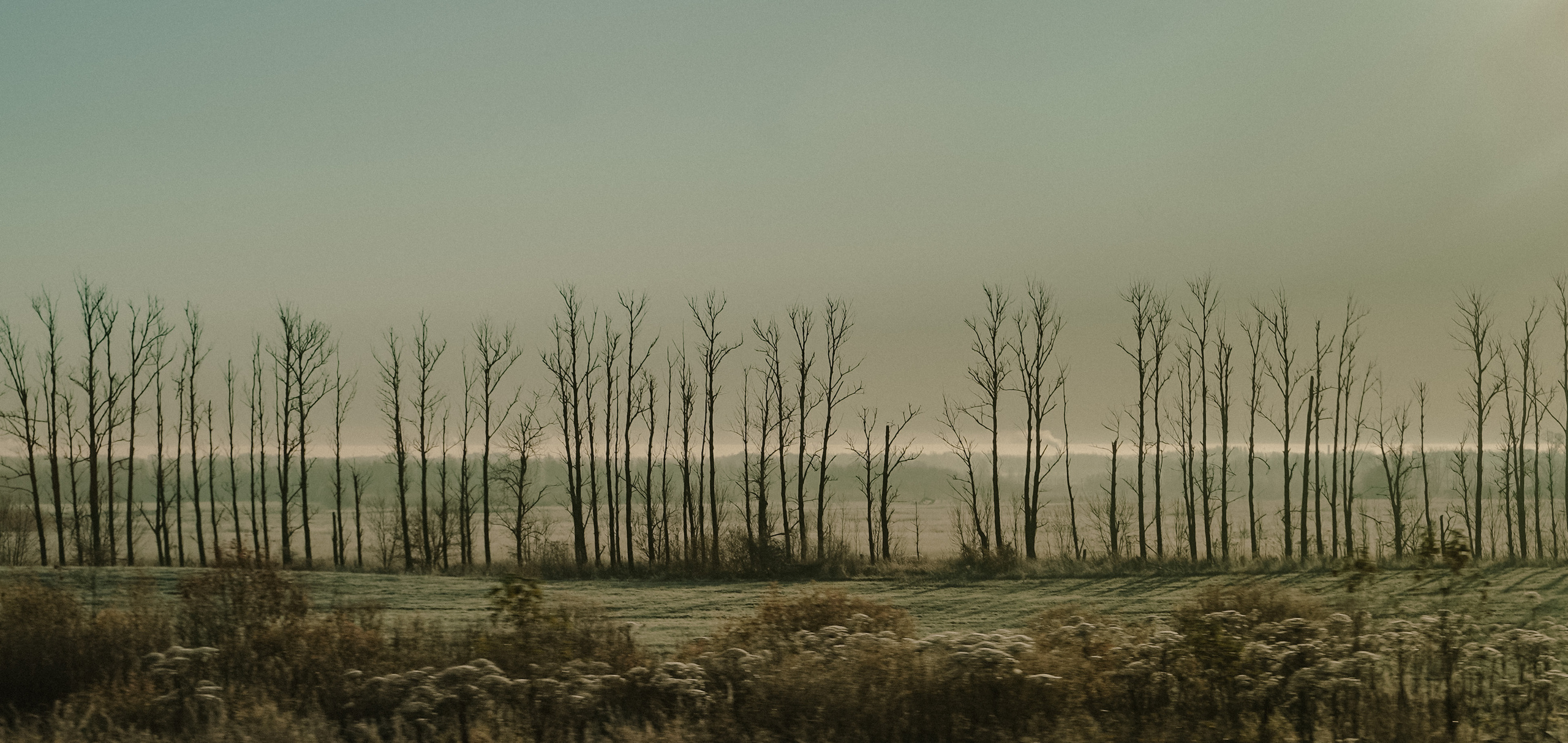 ПЕЙЗАЖИ. Стрит-фотография, полная абсурда, идиотизма и красоты