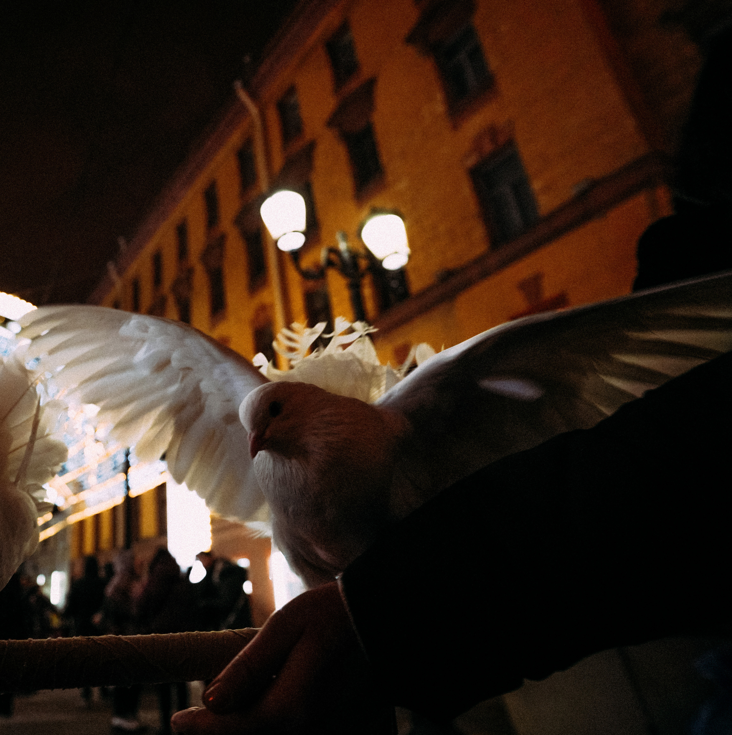 2021. Стрит-фотография, полная абсурда, идиотизма и красоты