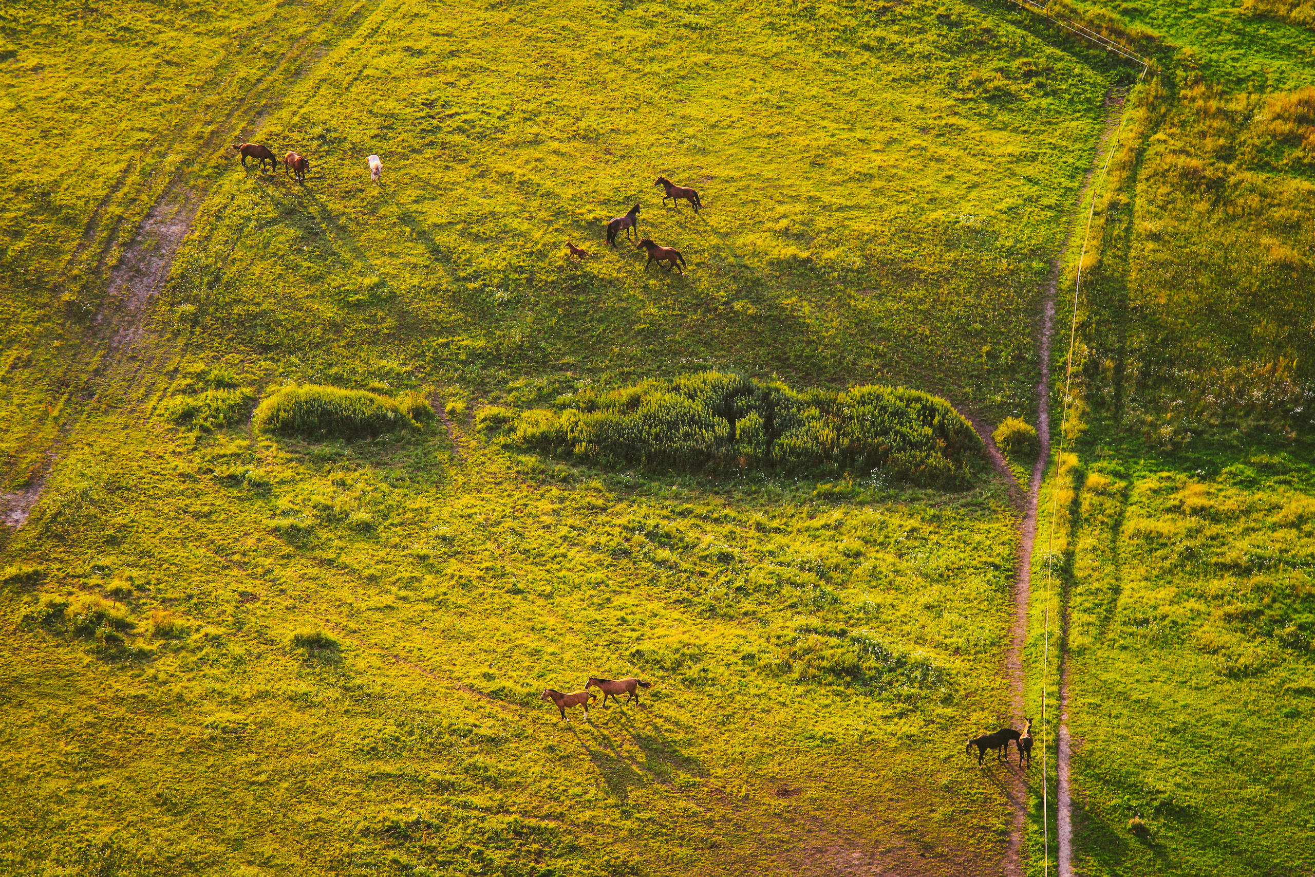 ПЕЙЗАЖИ. Стрит-фотография, полная абсурда, идиотизма и красоты