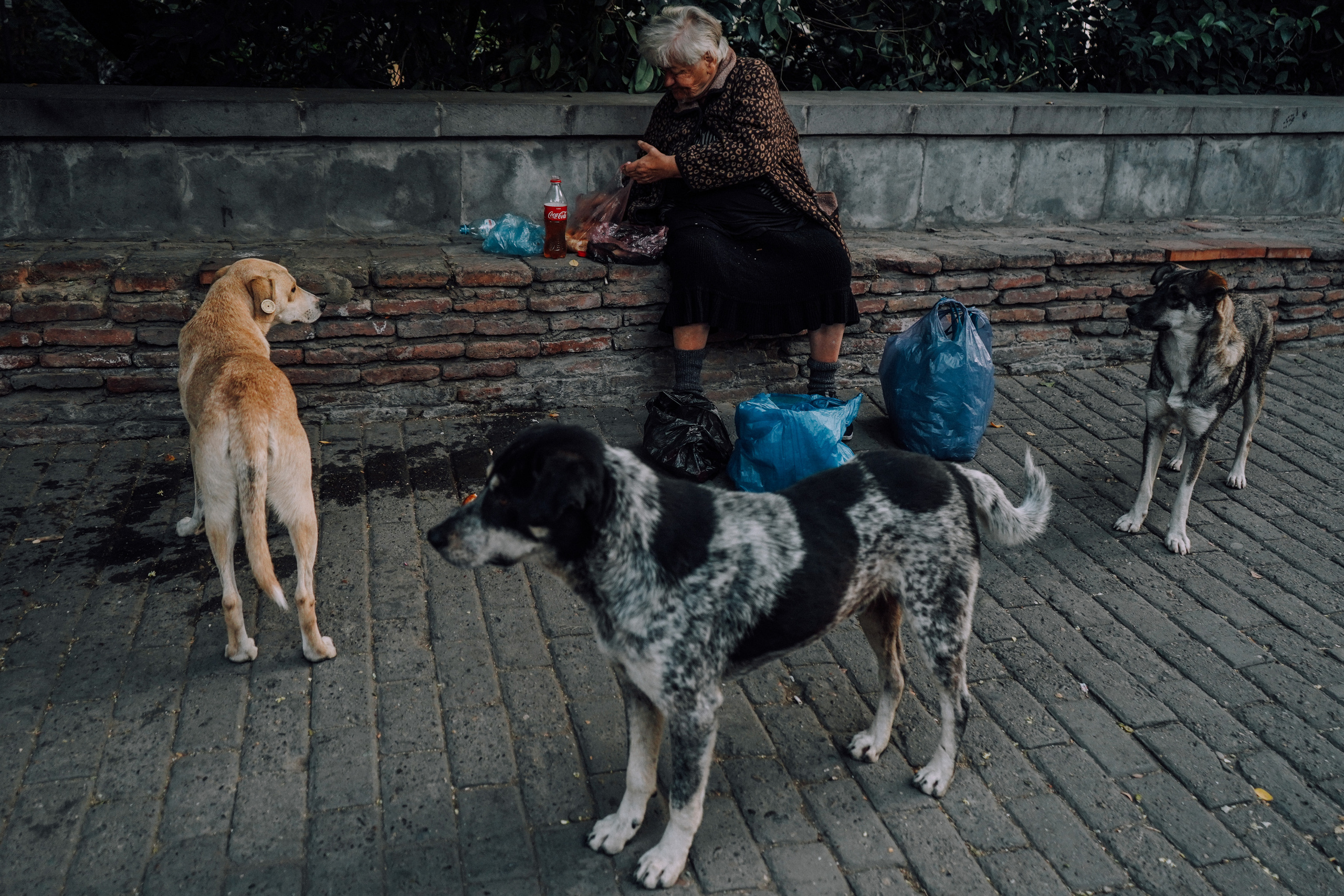 ГРУЗИЯ. Стрит-фотография, полная абсурда, идиотизма и красоты
