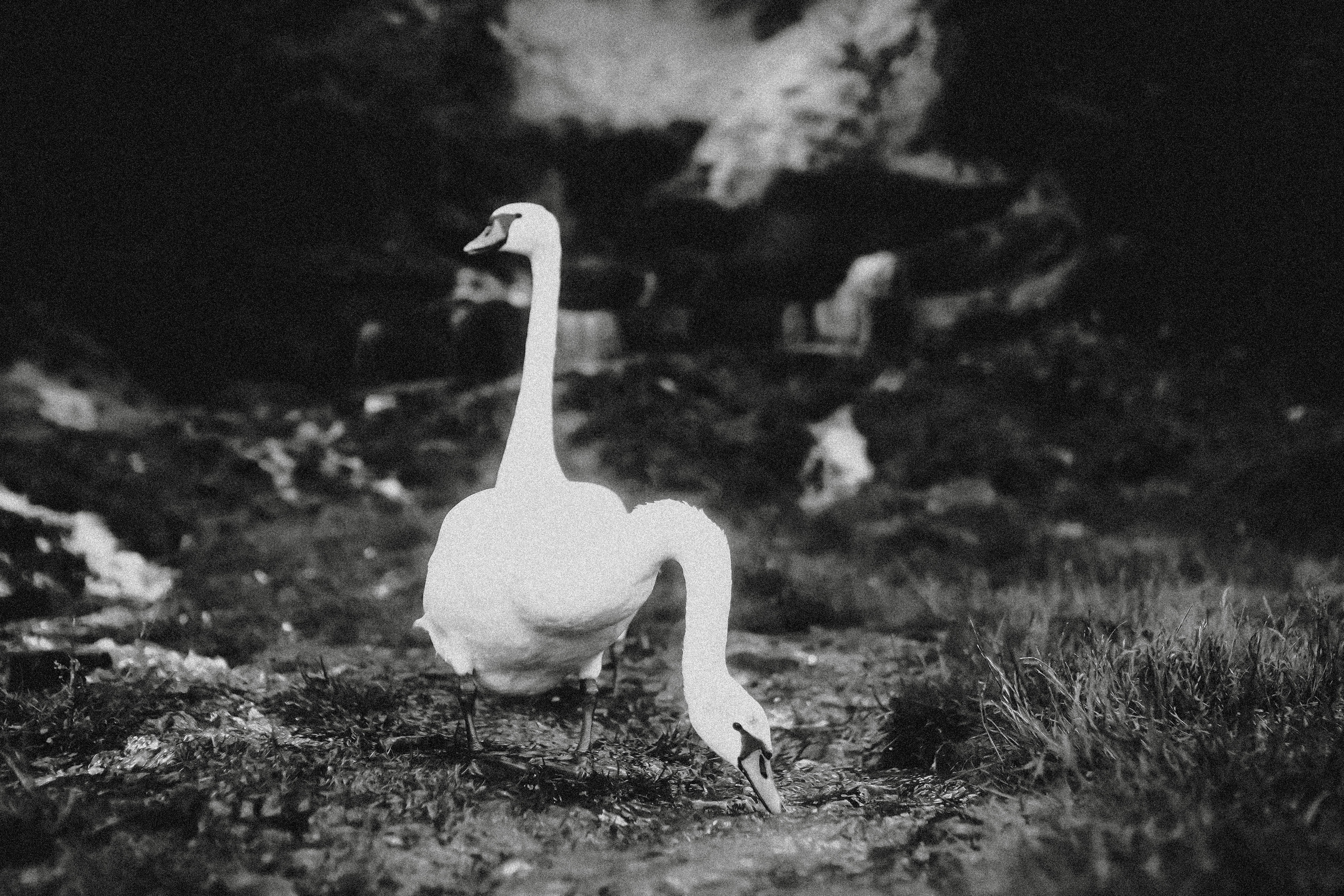 2022. Стрит-фотография, полная абсурда, идиотизма и красоты