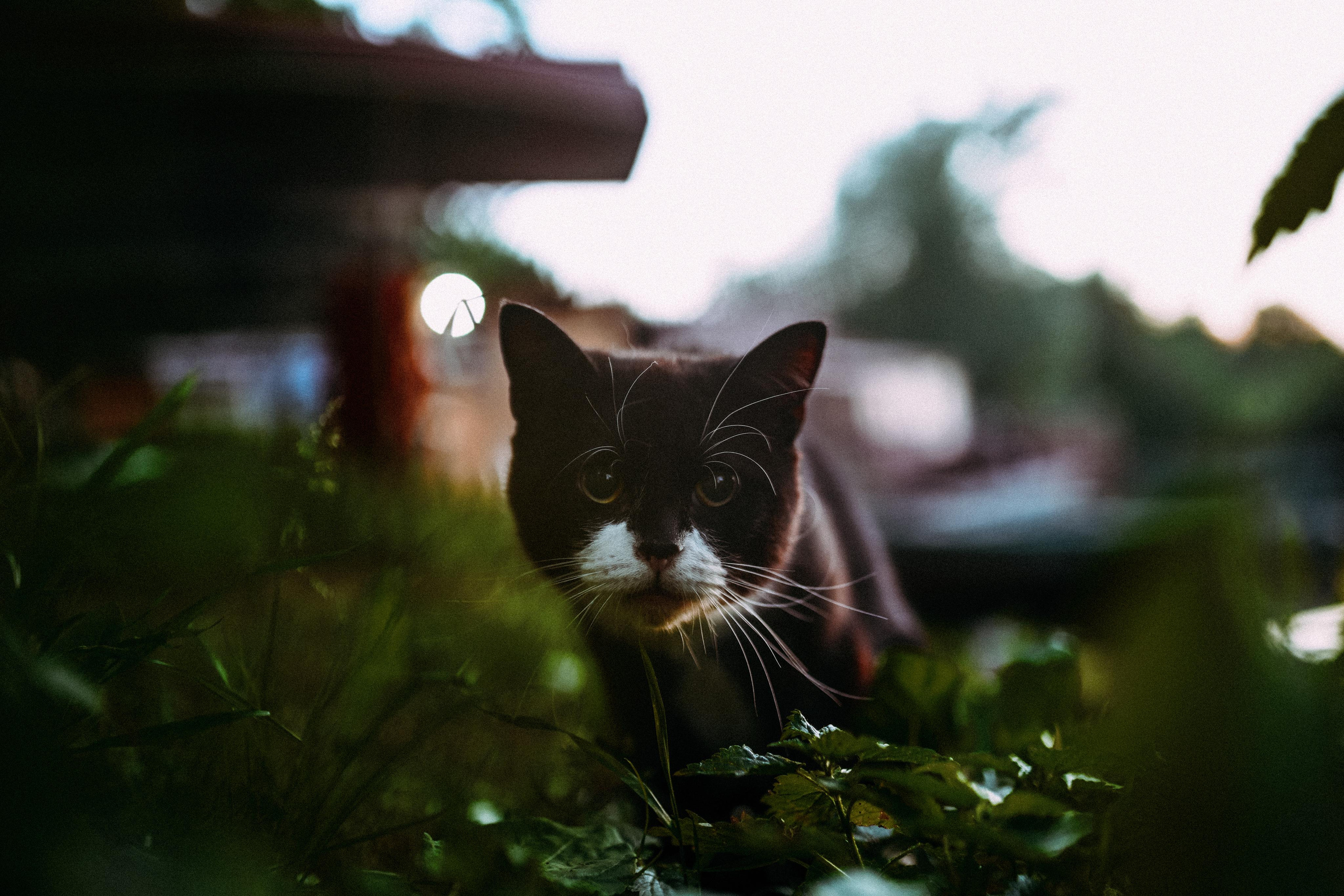 2022. Стрит-фотография, полная абсурда, идиотизма и красоты