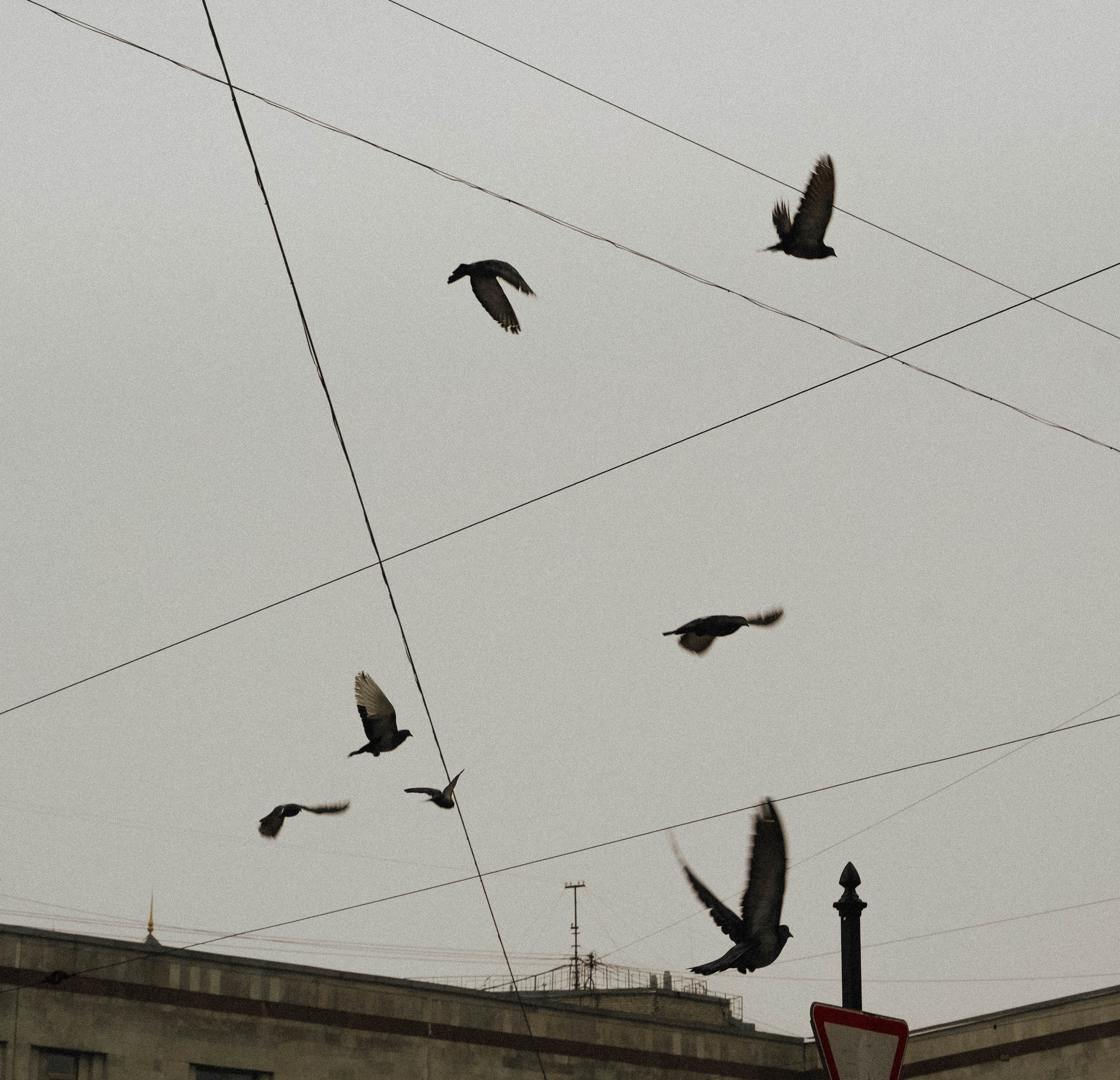 2019. Стрит-фотография, полная абсурда, идиотизма и красоты