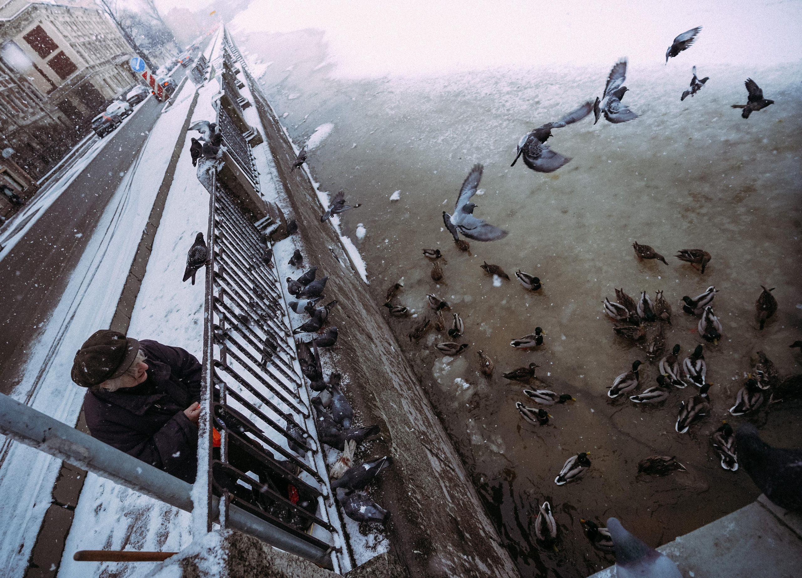 2021. Стрит-фотография, полная абсурда, идиотизма и красоты