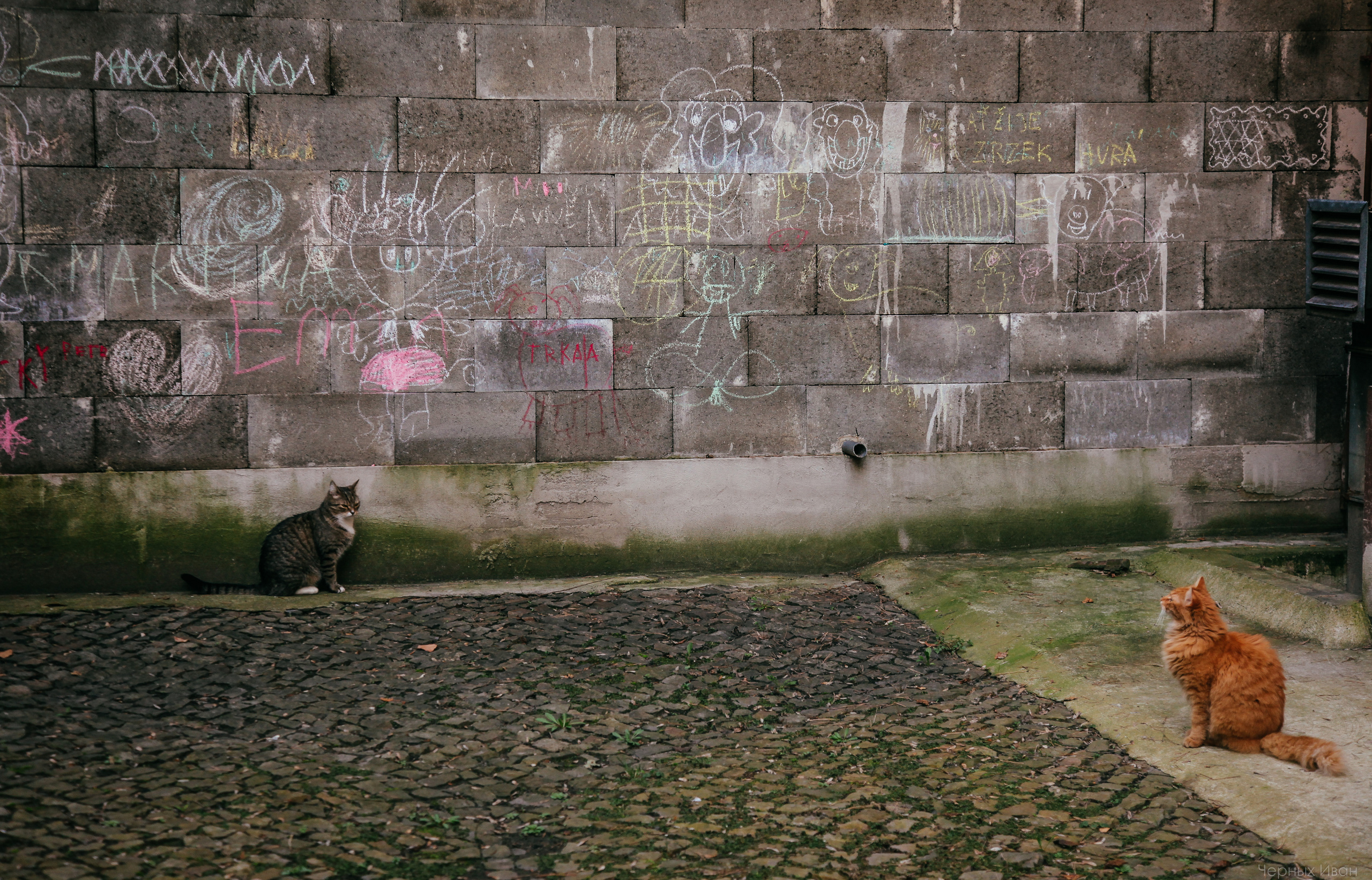 ЧЕХИЯ. Стрит-фотография, полная абсурда, идиотизма и красоты