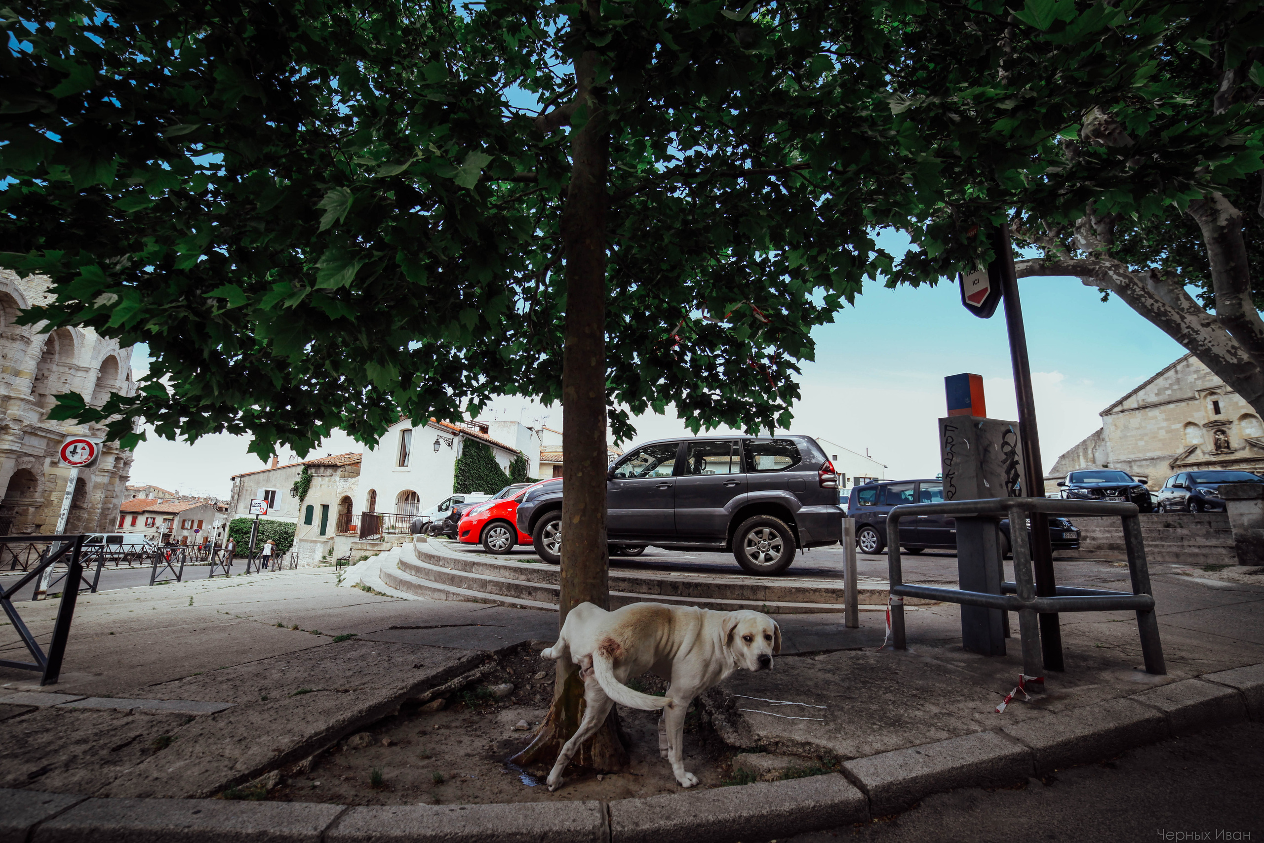 BEST OF. Стрит-фотография, полная абсурда, идиотизма и красоты