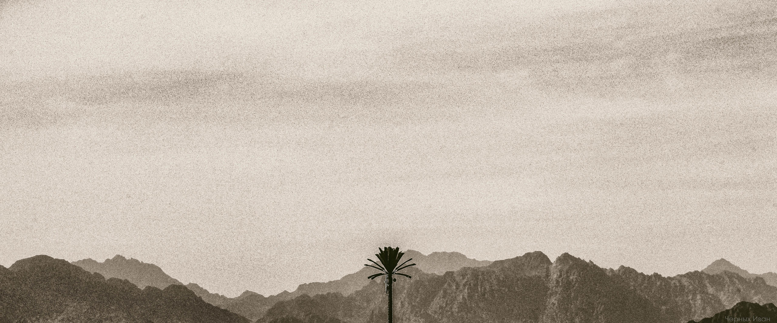 ПЕЙЗАЖИ. Стрит-фотография, полная абсурда, идиотизма и красоты