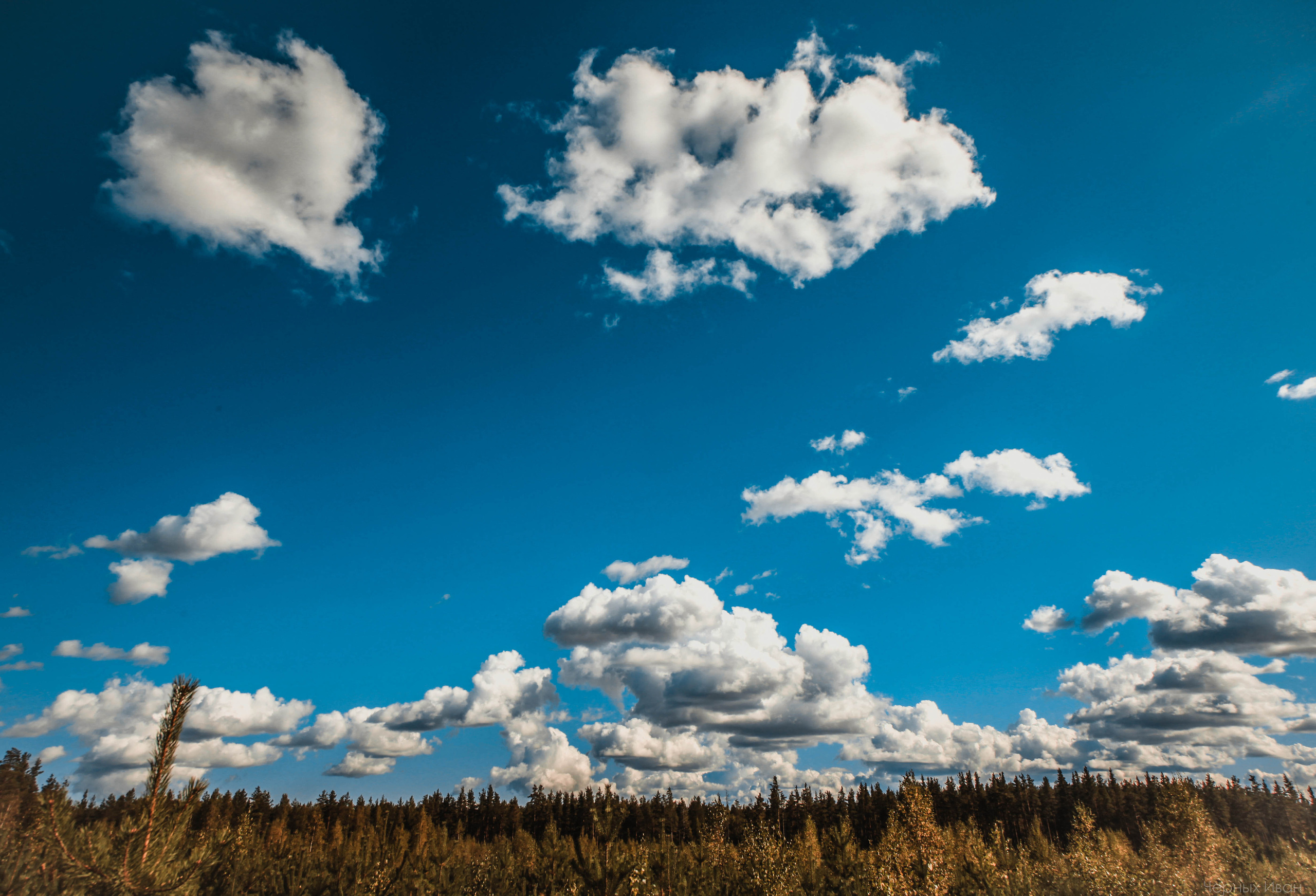 2015. Стрит-фотография, полная абсурда, идиотизма и красоты