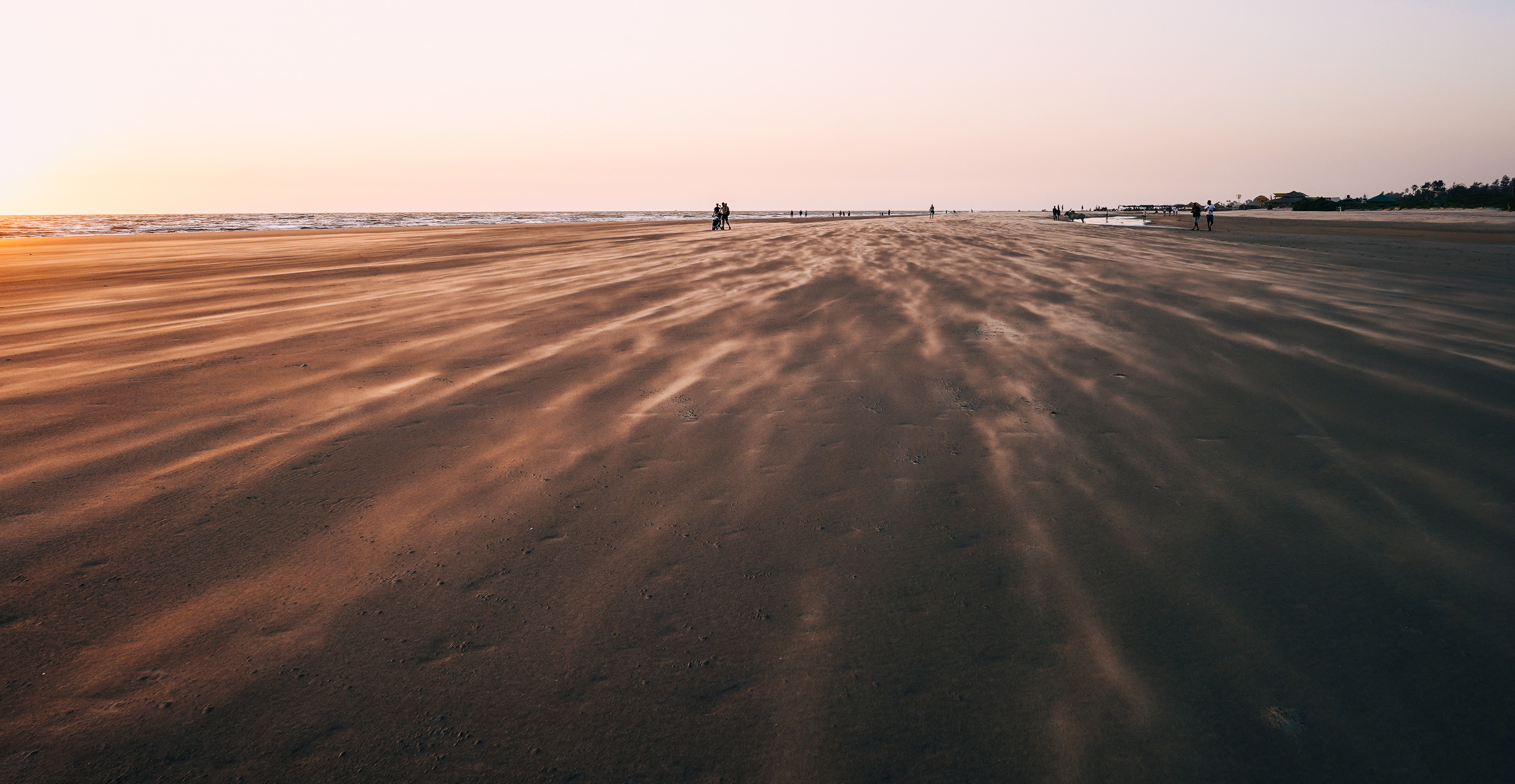 ИНДИЯ 2020. Стрит-фотография, полная абсурда, идиотизма и красоты