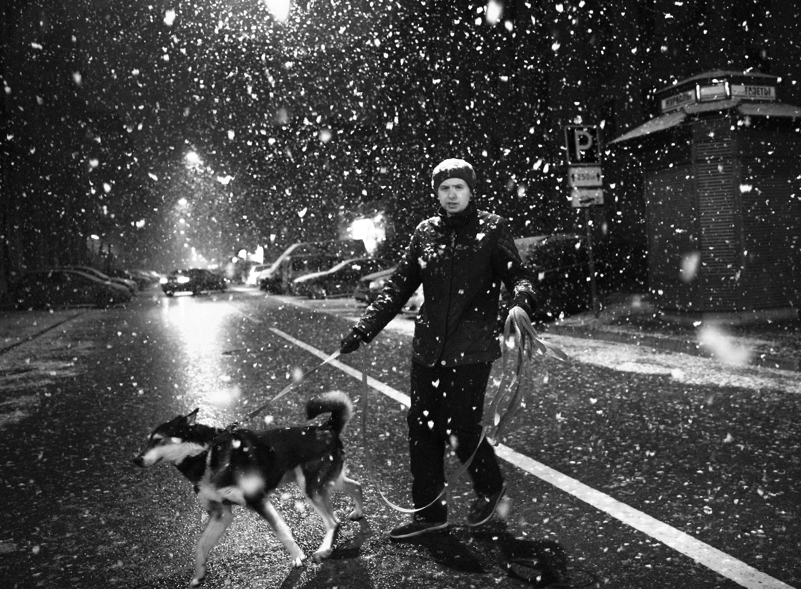 2019. Стрит-фотография, полная абсурда, идиотизма и красоты