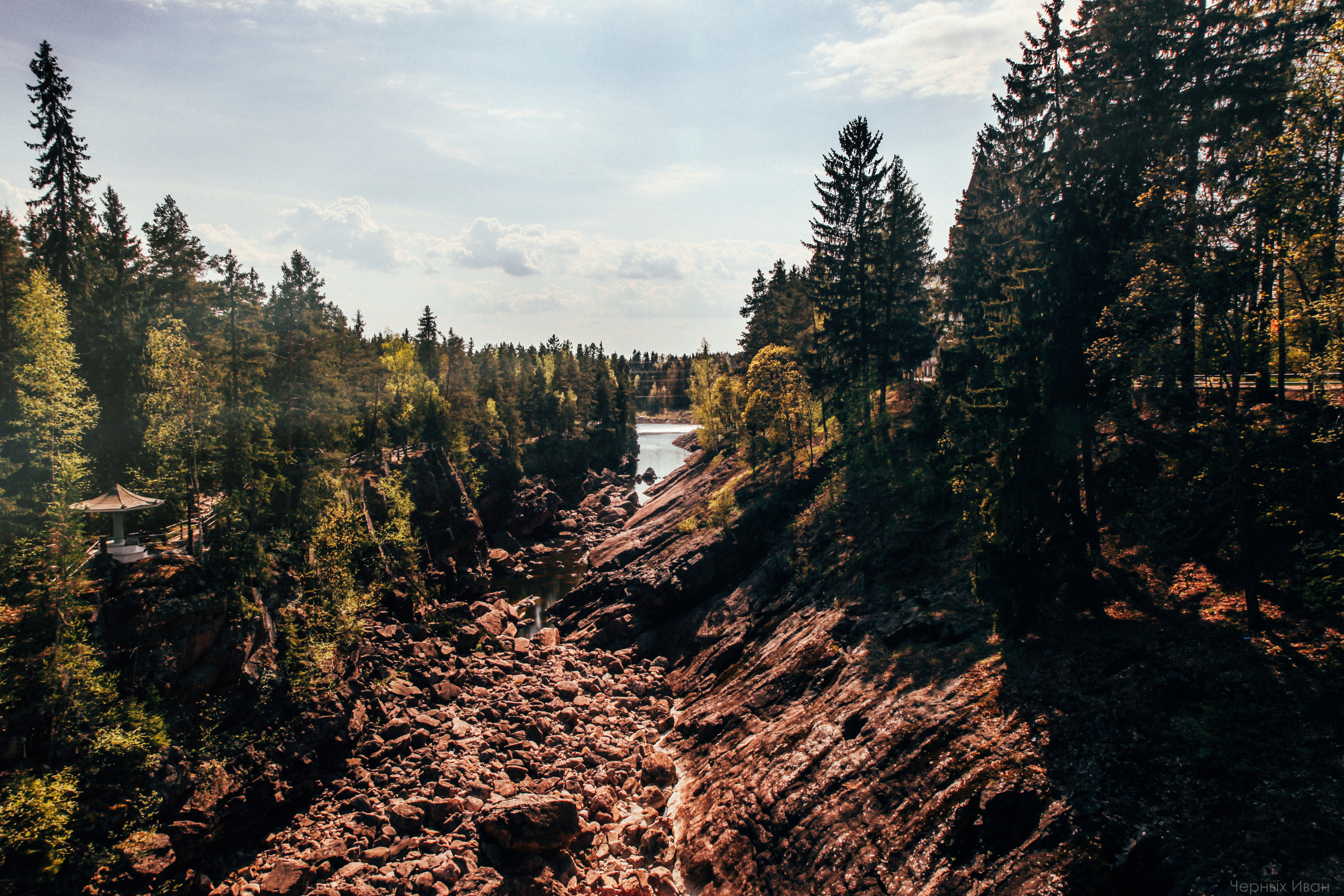 2016. Стрит-фотография, полная абсурда, идиотизма и красоты