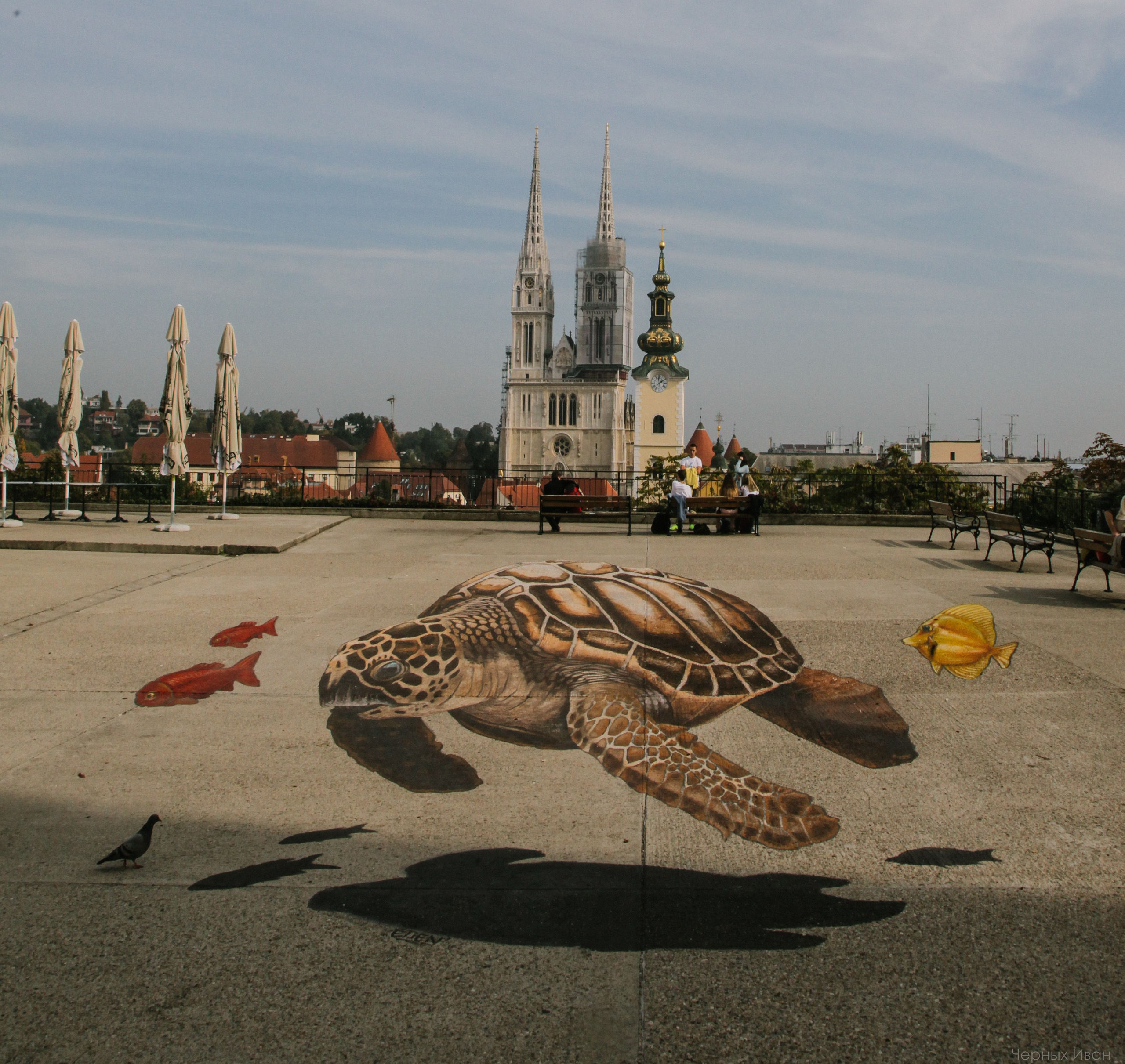 ЗАГРЕБ. Стрит-фотография, полная абсурда, идиотизма и красоты