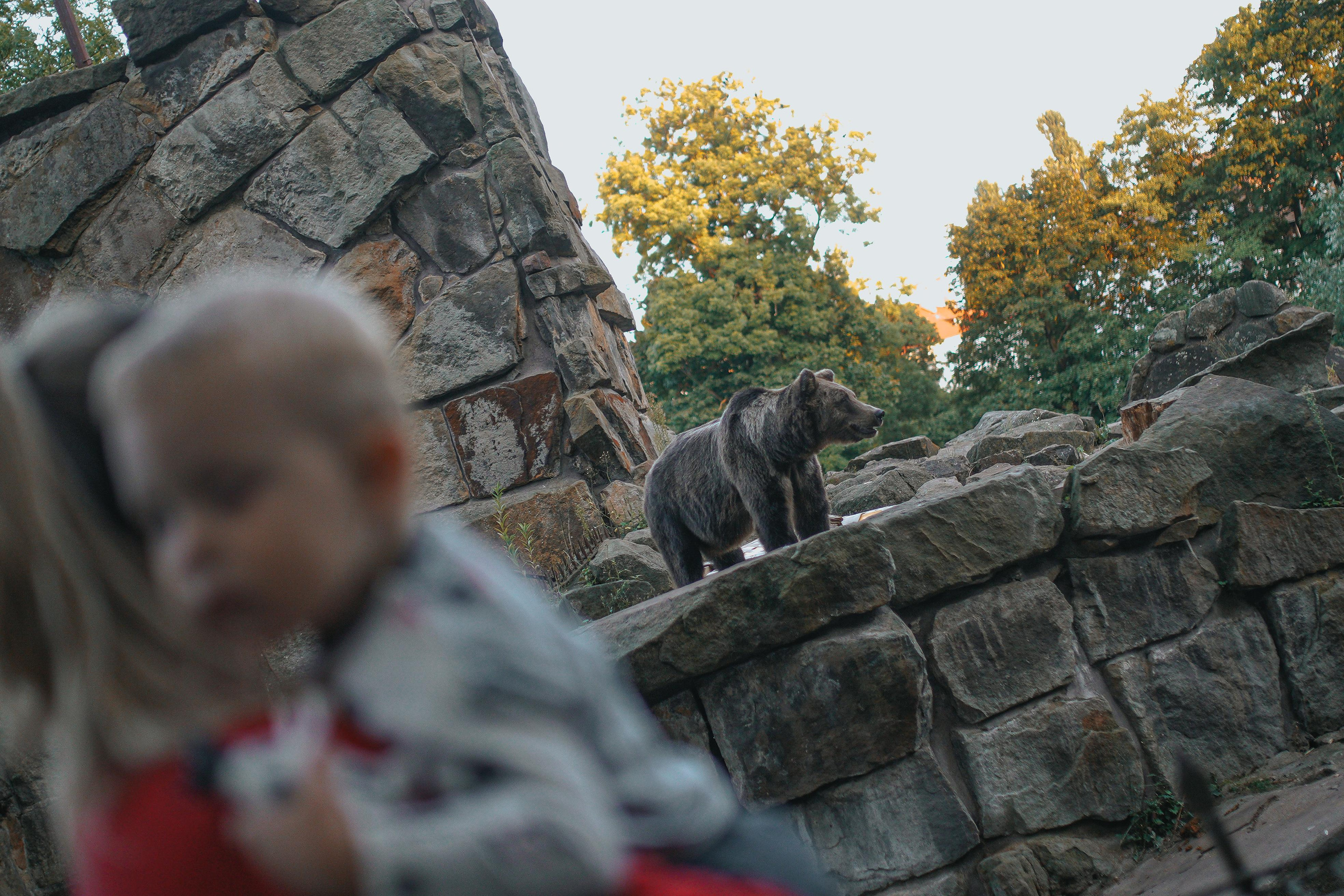 2020. Стрит-фотография, полная абсурда, идиотизма и красоты