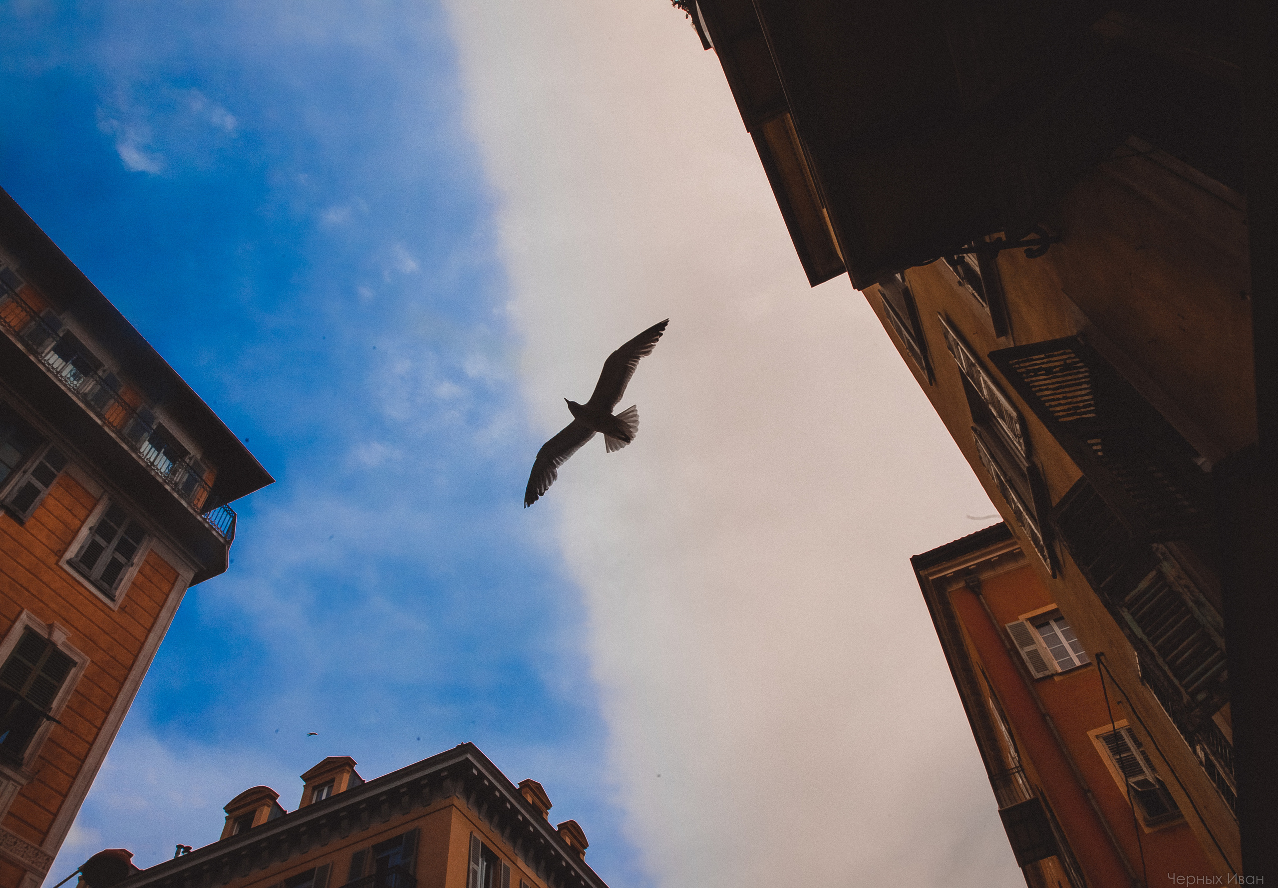 ФРАНЦИЯ. Стрит-фотография, полная абсурда, идиотизма и красоты