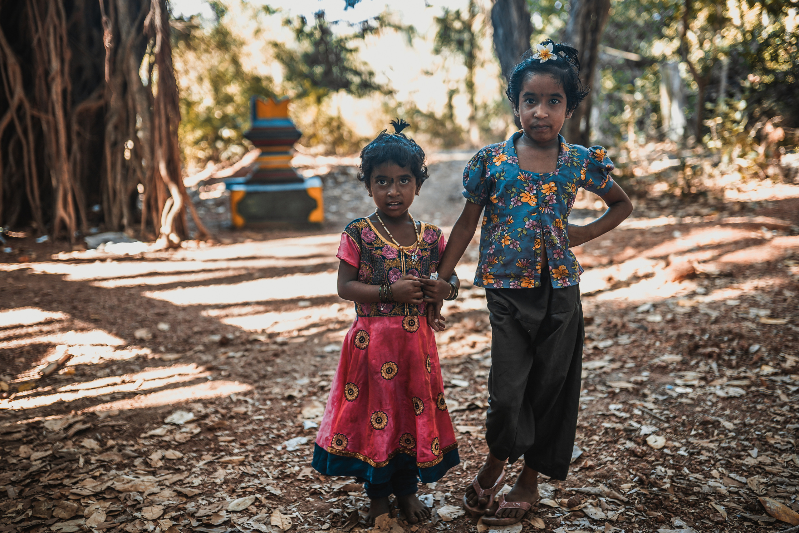 ИНДИЯ 2020. Стрит-фотография, полная абсурда, идиотизма и красоты