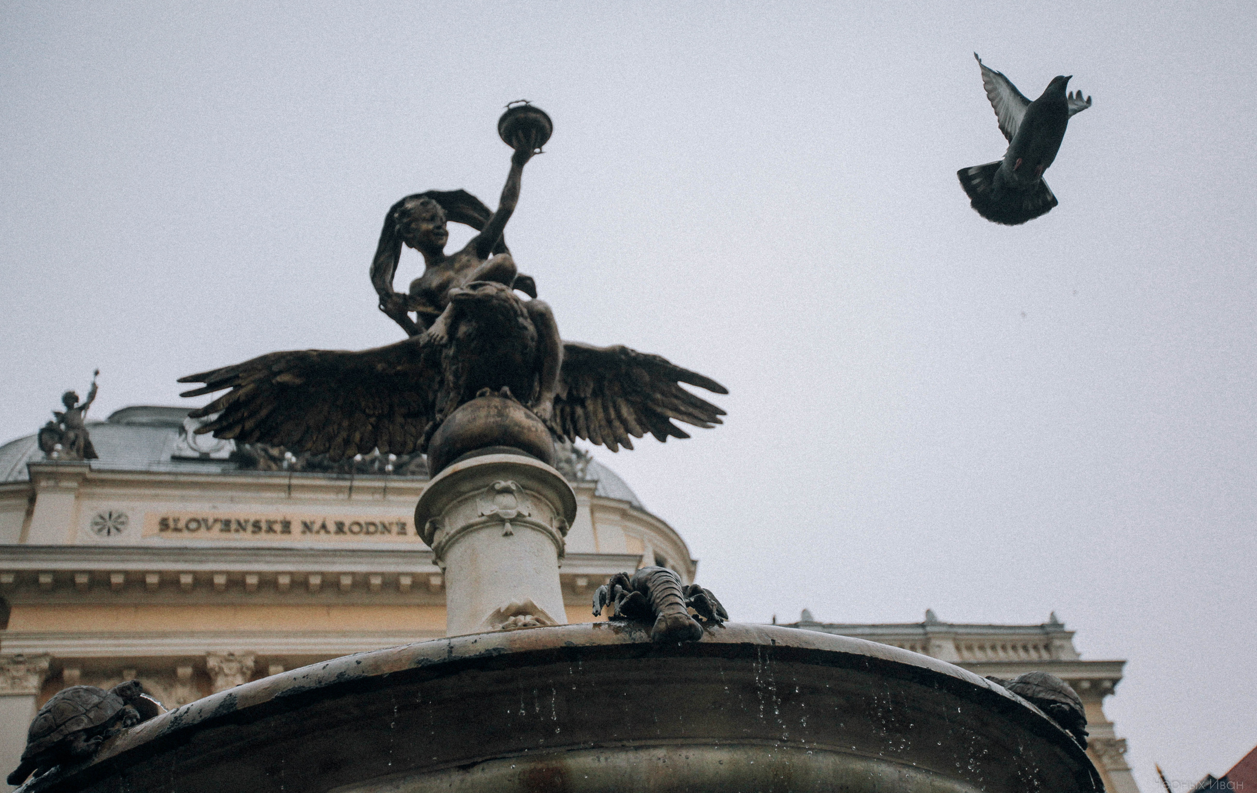 БРАТИСЛАВА. Стрит-фотография, полная абсурда, идиотизма и красоты
