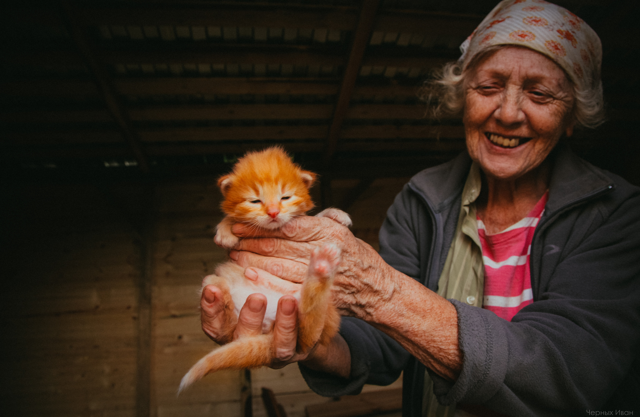 BEST OF. Стрит-фотография, полная абсурда, идиотизма и красоты