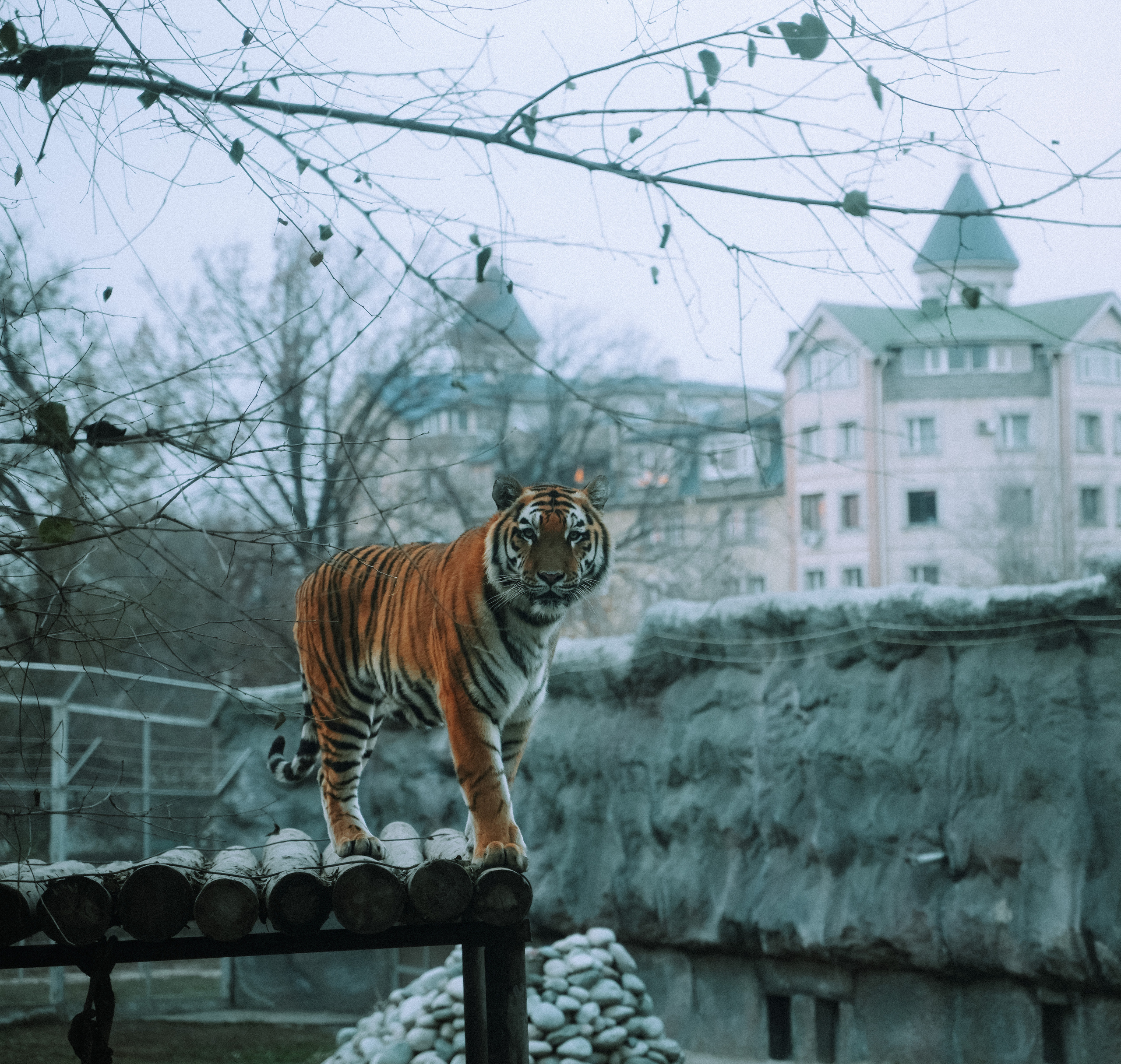 КАЗАХСТАН. Стрит-фотография, полная абсурда, идиотизма и красоты