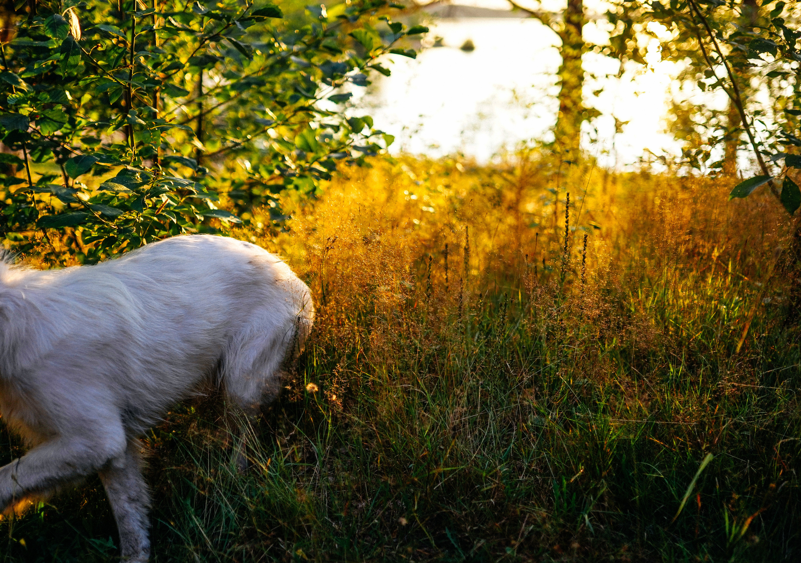 2019. Стрит-фотография, полная абсурда, идиотизма и красоты
