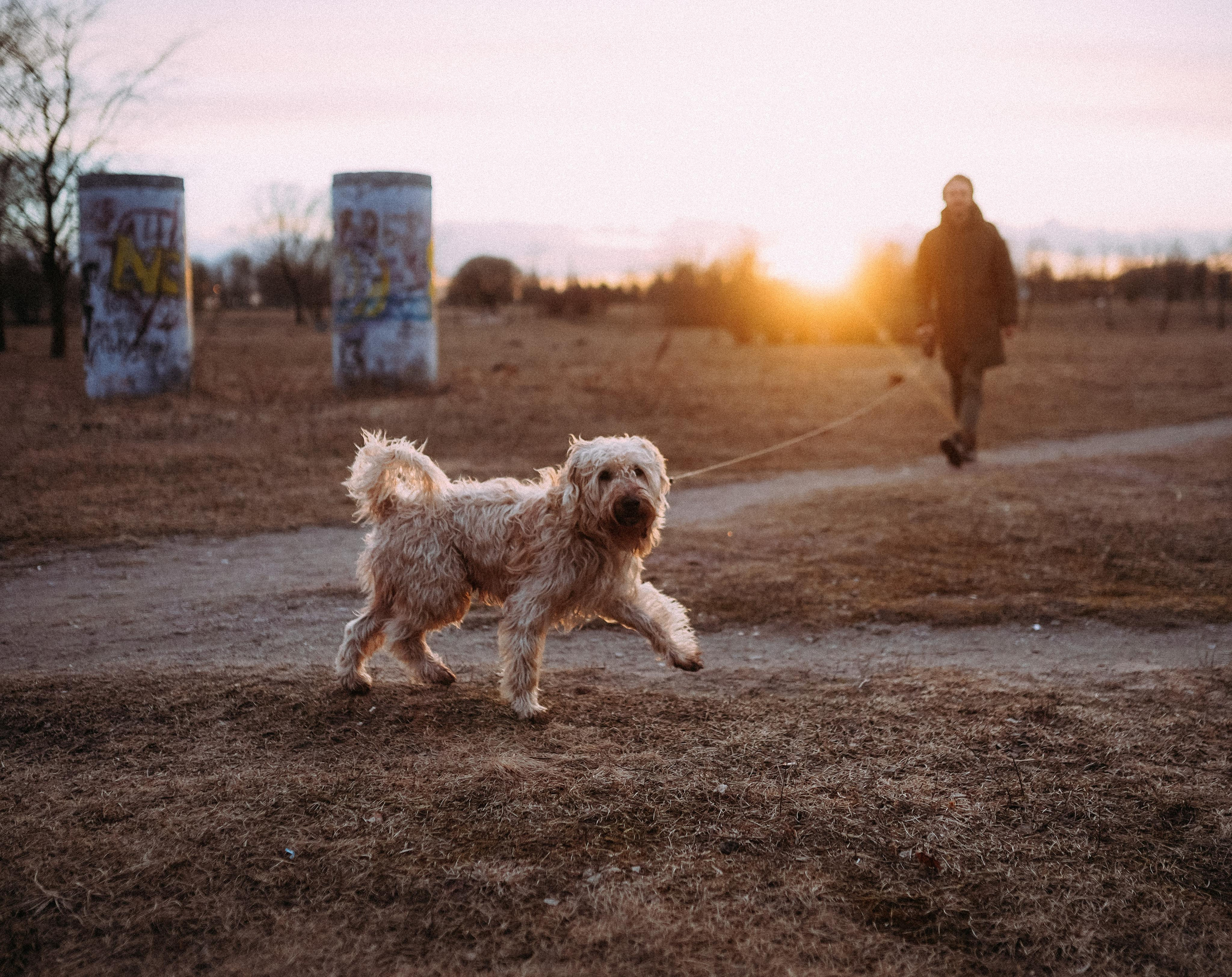 2021. Стрит-фотография, полная абсурда, идиотизма и красоты
