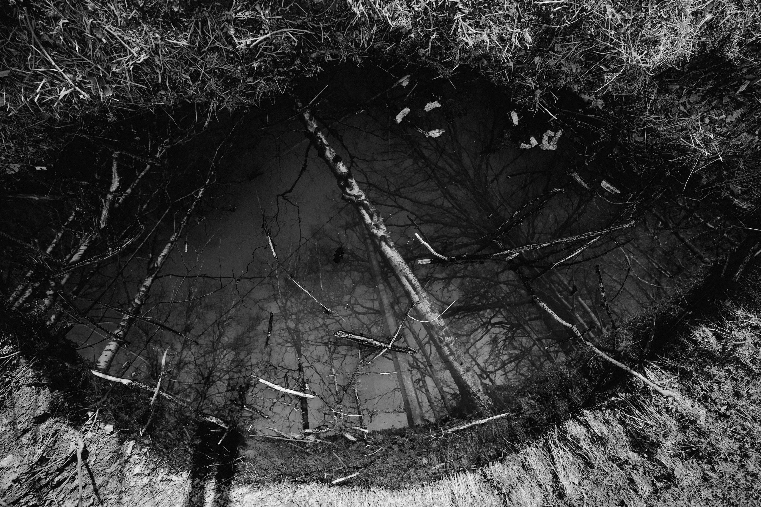 2020. Стрит-фотография, полная абсурда, идиотизма и красоты