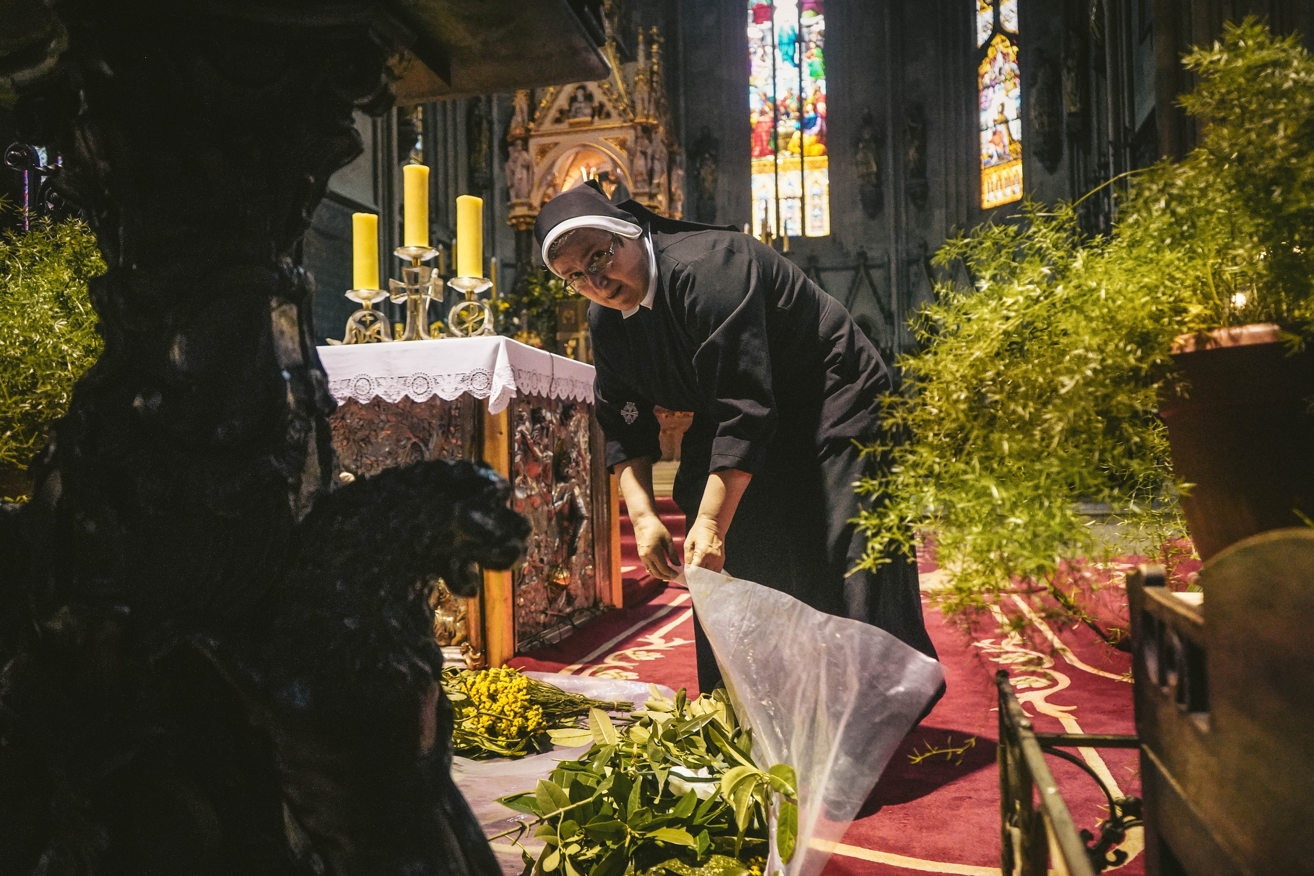 ЗАГРЕБ. Стрит-фотография, полная абсурда, идиотизма и красоты