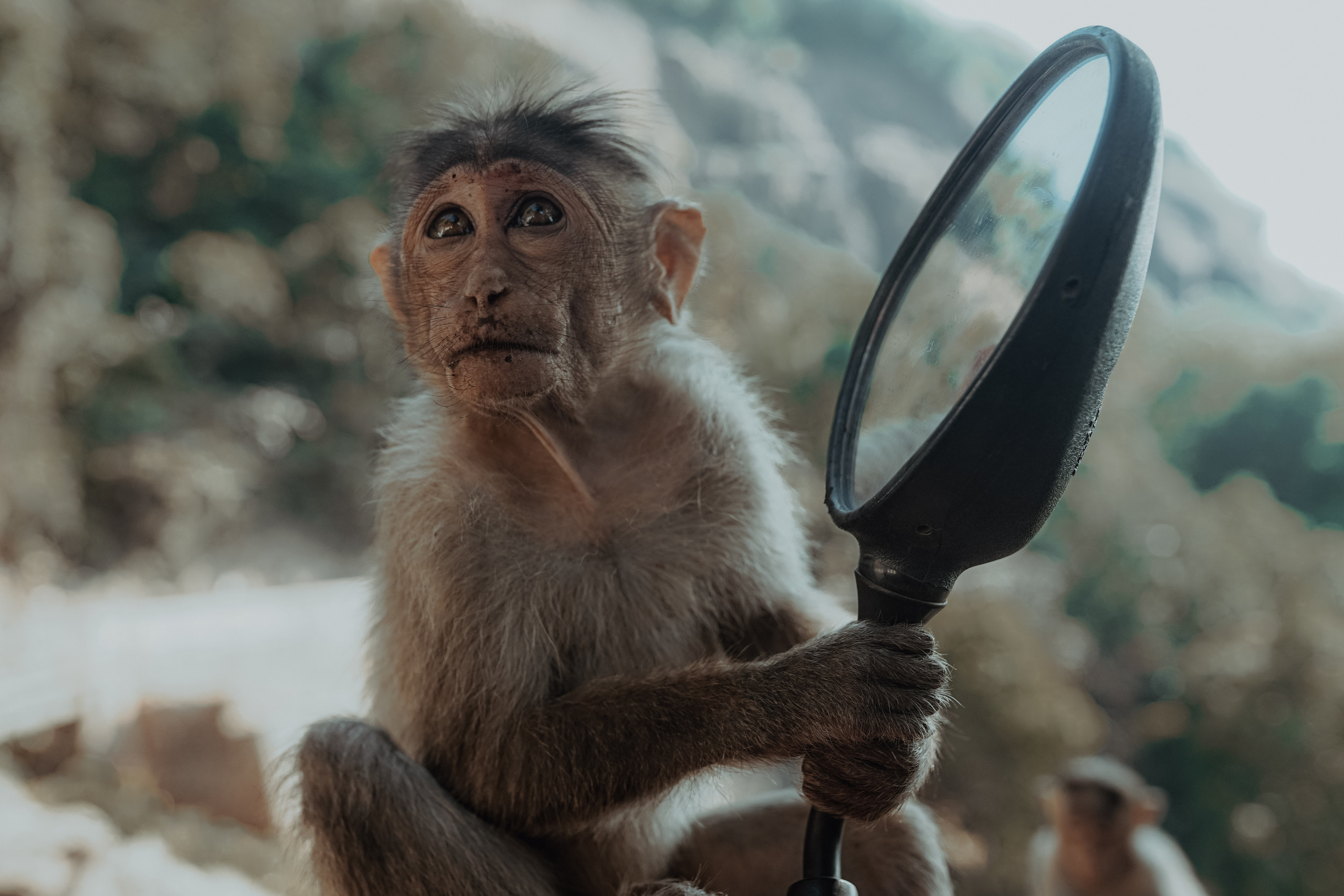 ИНДИЯ 2020. Стрит-фотография, полная абсурда, идиотизма и красоты