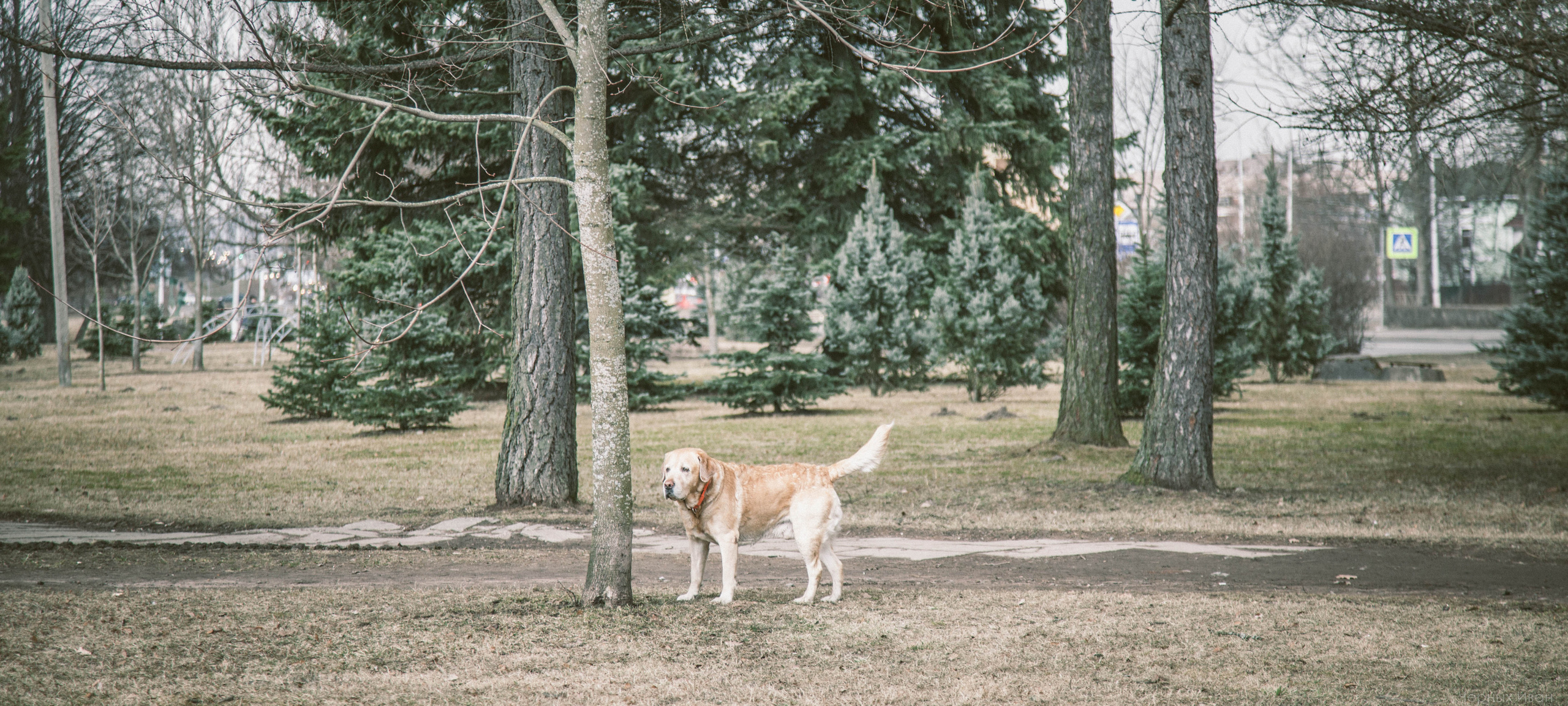 2014. Стрит-фотография, полная абсурда, идиотизма и красоты