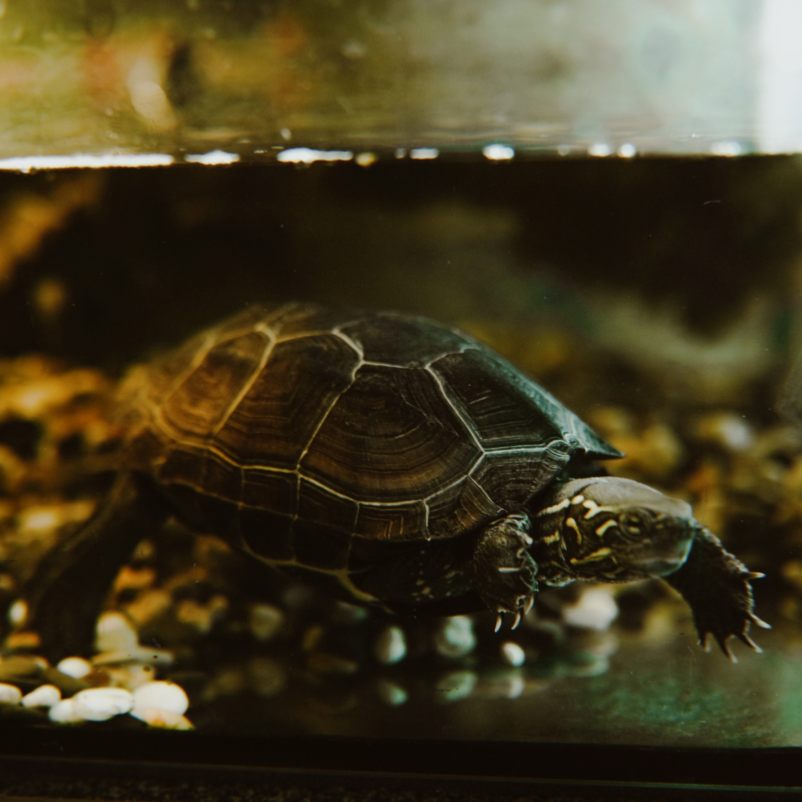 Наука. Стрит-фотография, полная абсурда, идиотизма и красоты