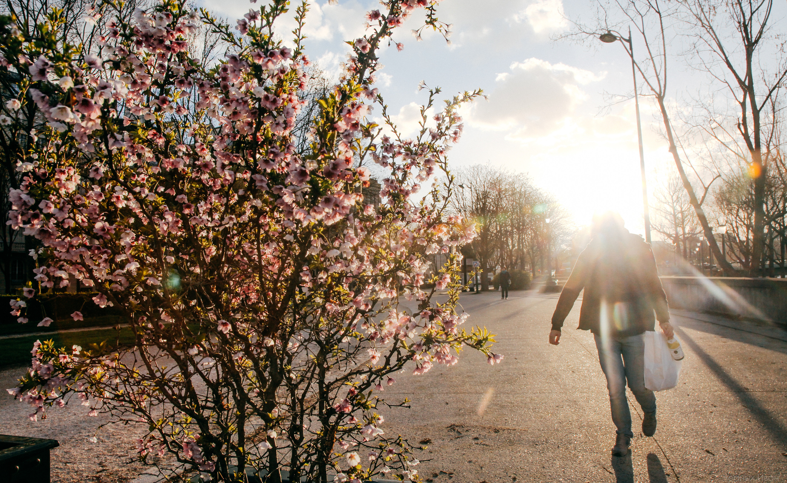 ФРАНЦИЯ. Стрит-фотография, полная абсурда, идиотизма и красоты