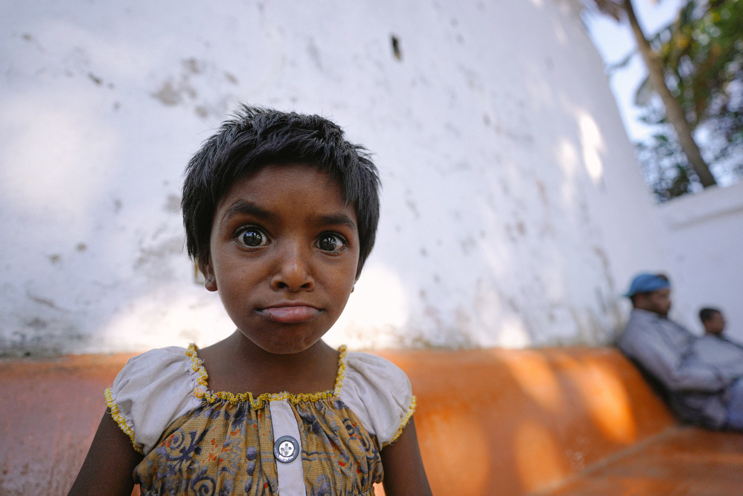 ИНДИЯ 2020. Стрит-фотография, полная абсурда, идиотизма и красоты