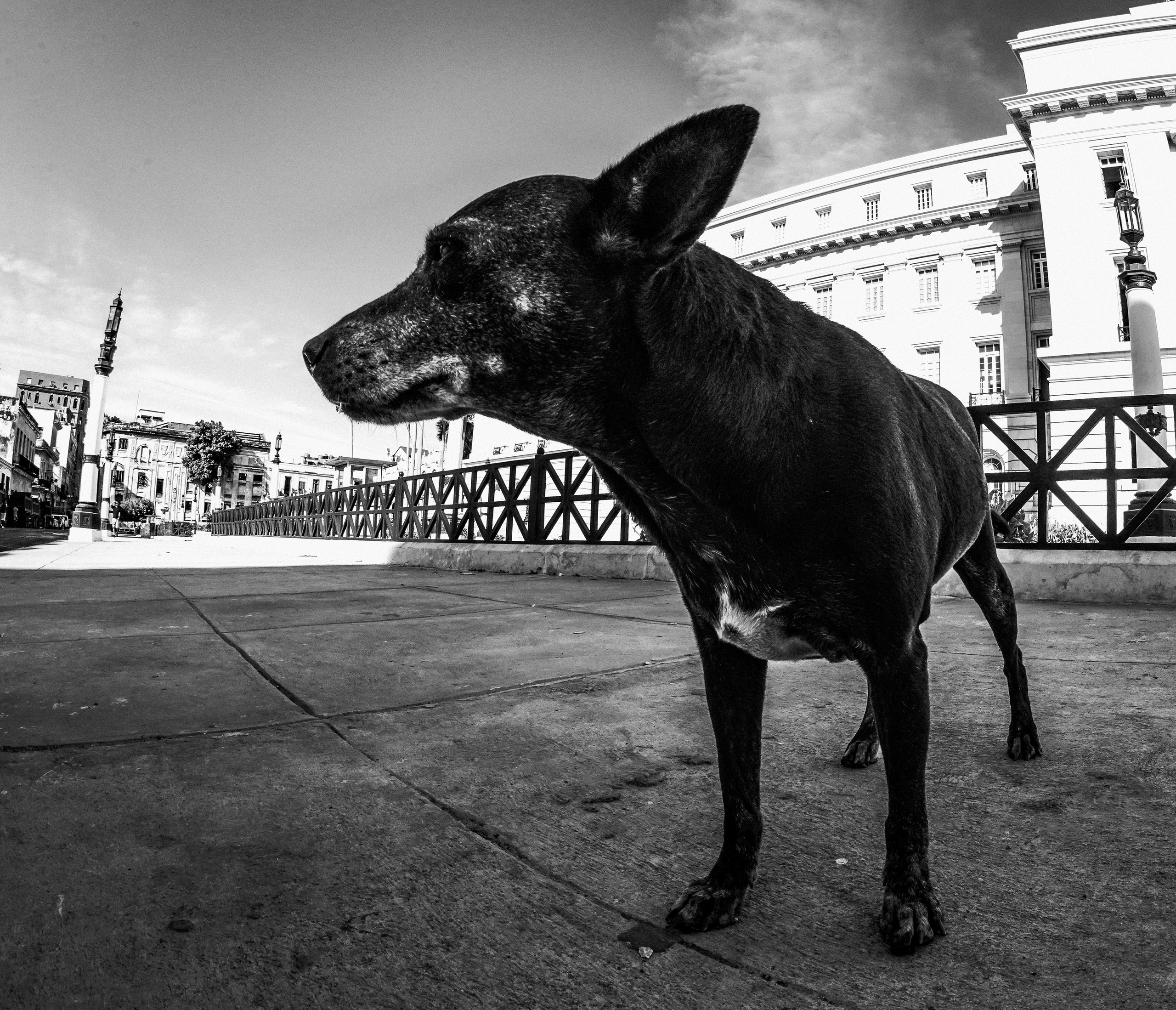 КУБА. Стрит-фотография, полная абсурда, идиотизма и красоты