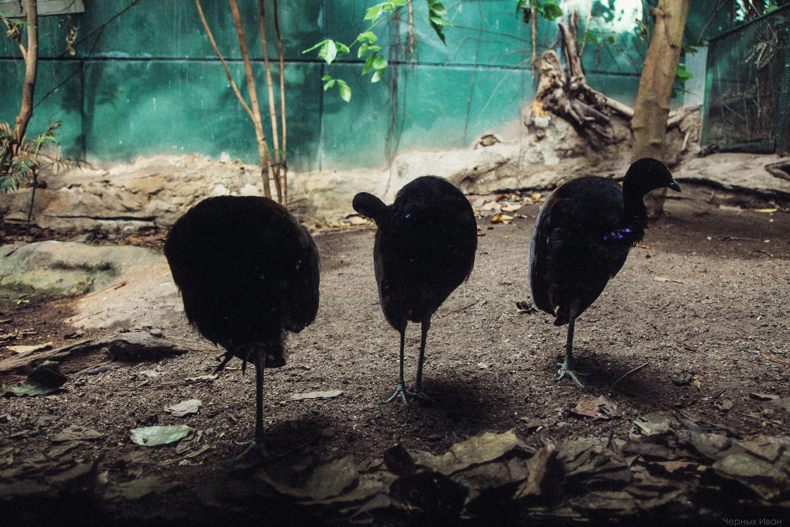 ИСПАНИЯ. Стрит-фотография, полная абсурда, идиотизма и красоты