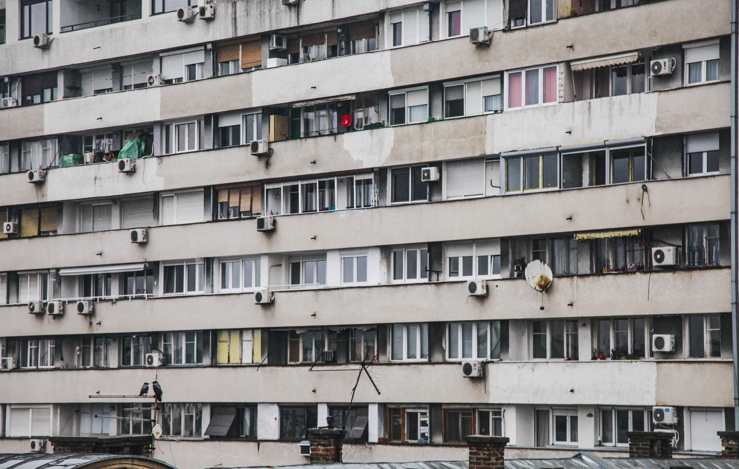 БЕЛГРАД. Стрит-фотография, полная абсурда, идиотизма и красоты