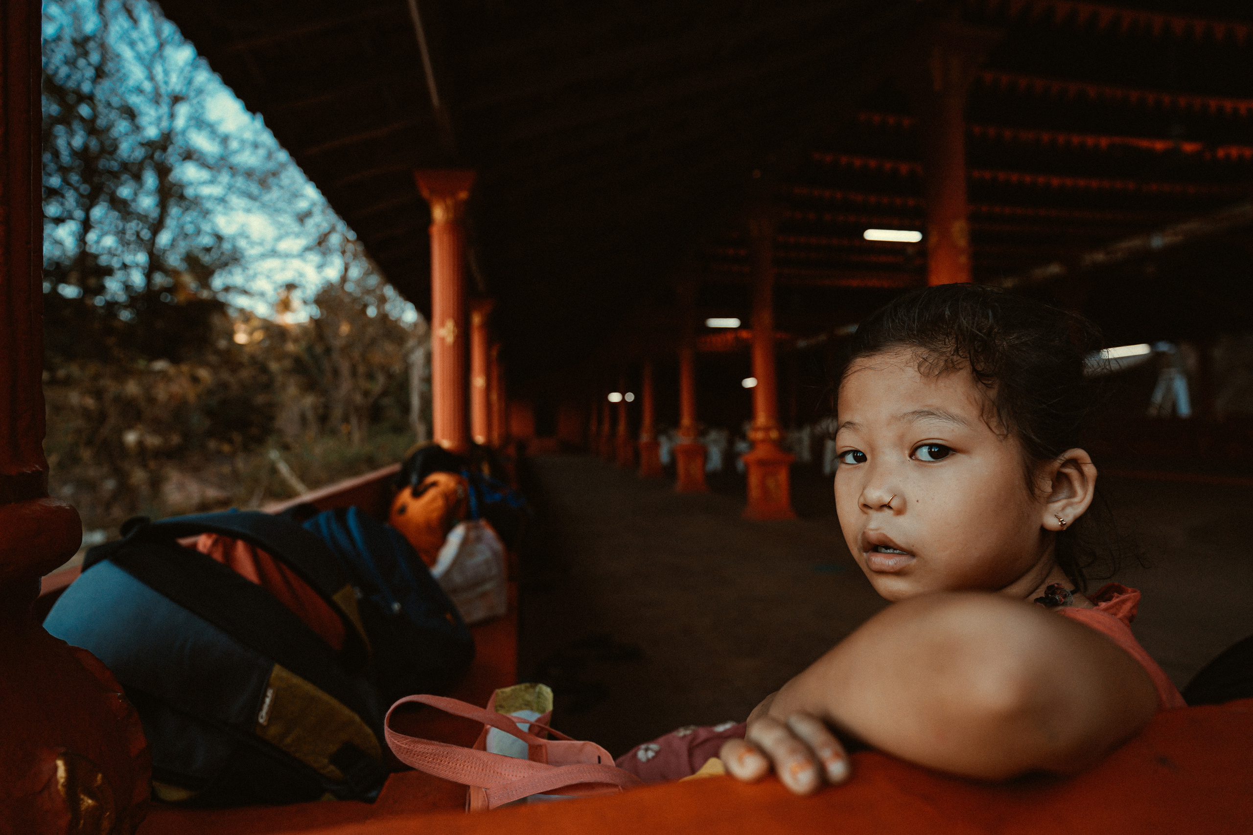 ИНДИЯ 2020. Стрит-фотография, полная абсурда, идиотизма и красоты