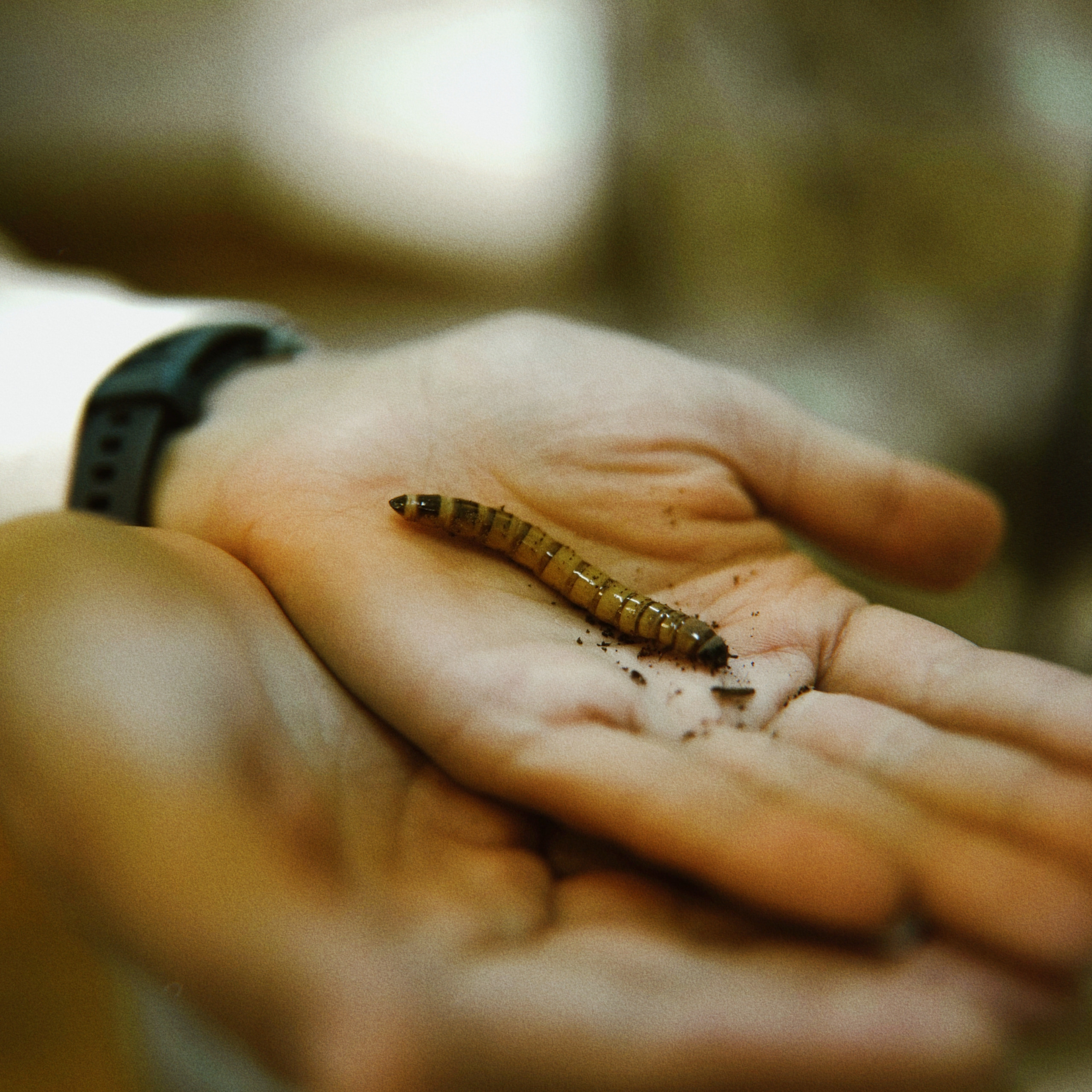 Наука. Стрит-фотография, полная абсурда, идиотизма и красоты