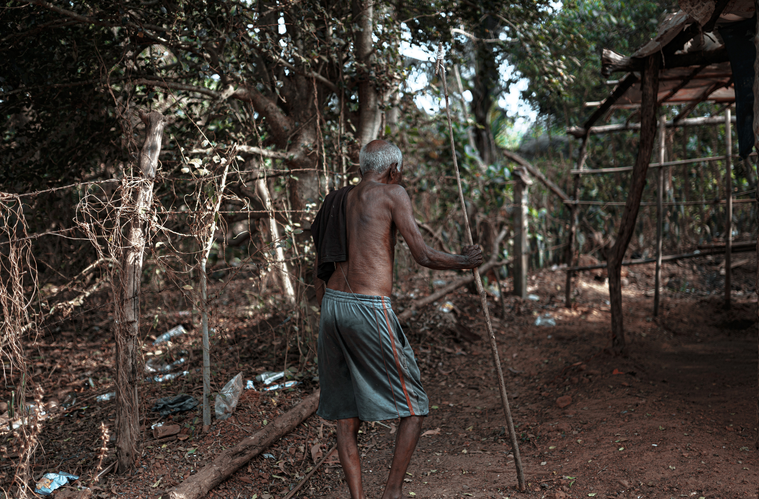 ИНДИЯ 2020. Стрит-фотография, полная абсурда, идиотизма и красоты