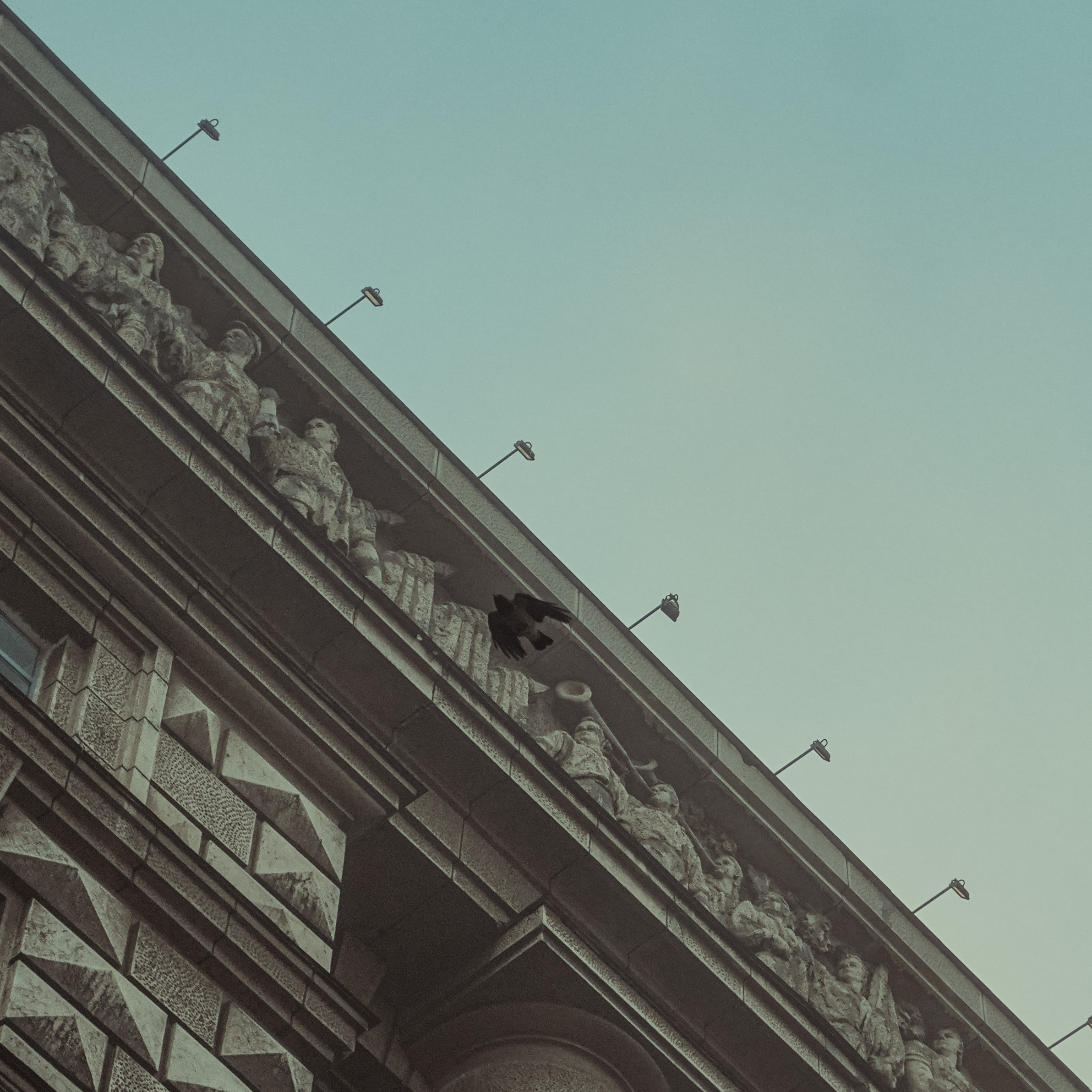 2020. Стрит-фотография, полная абсурда, идиотизма и красоты