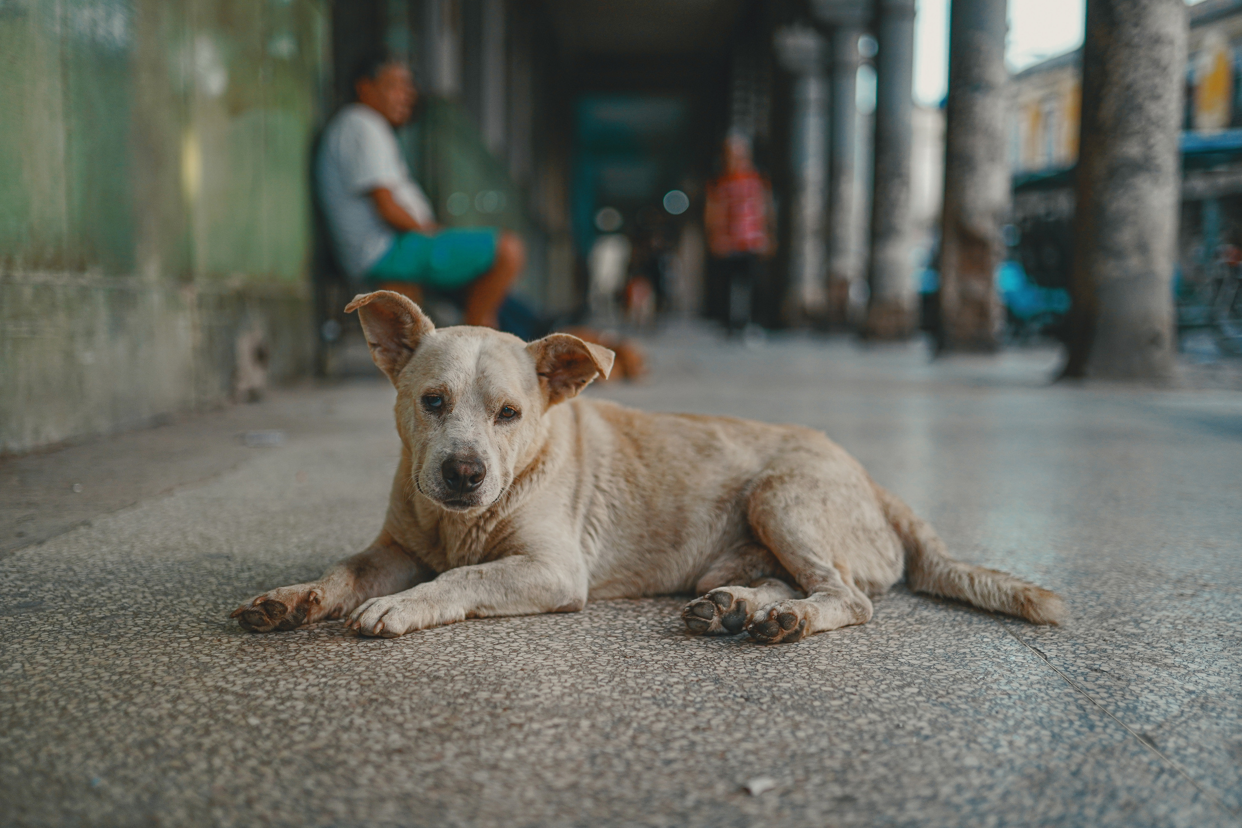 КУБА. Стрит-фотография, полная абсурда, идиотизма и красоты