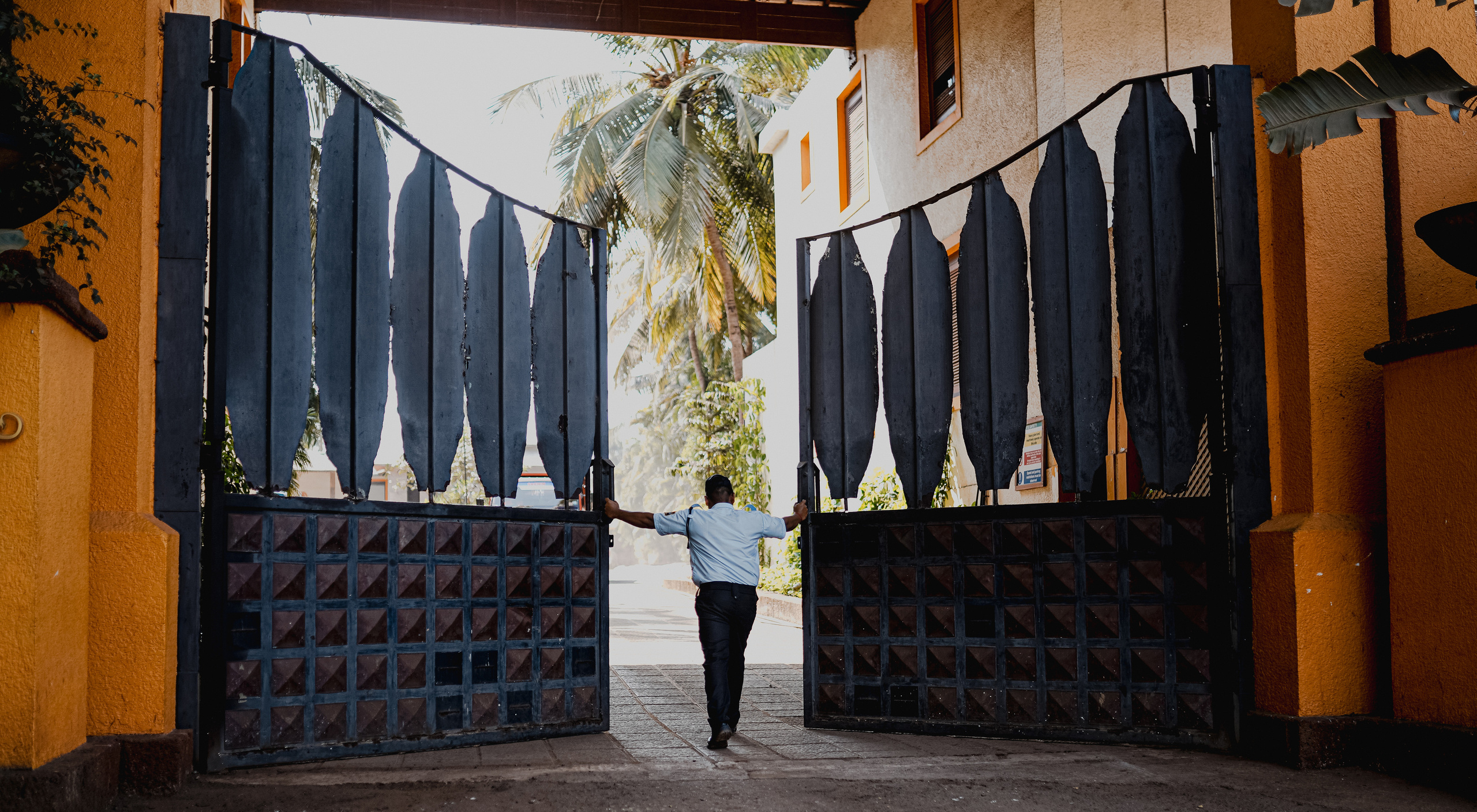 ИНДИЯ 2020. Стрит-фотография, полная абсурда, идиотизма и красоты