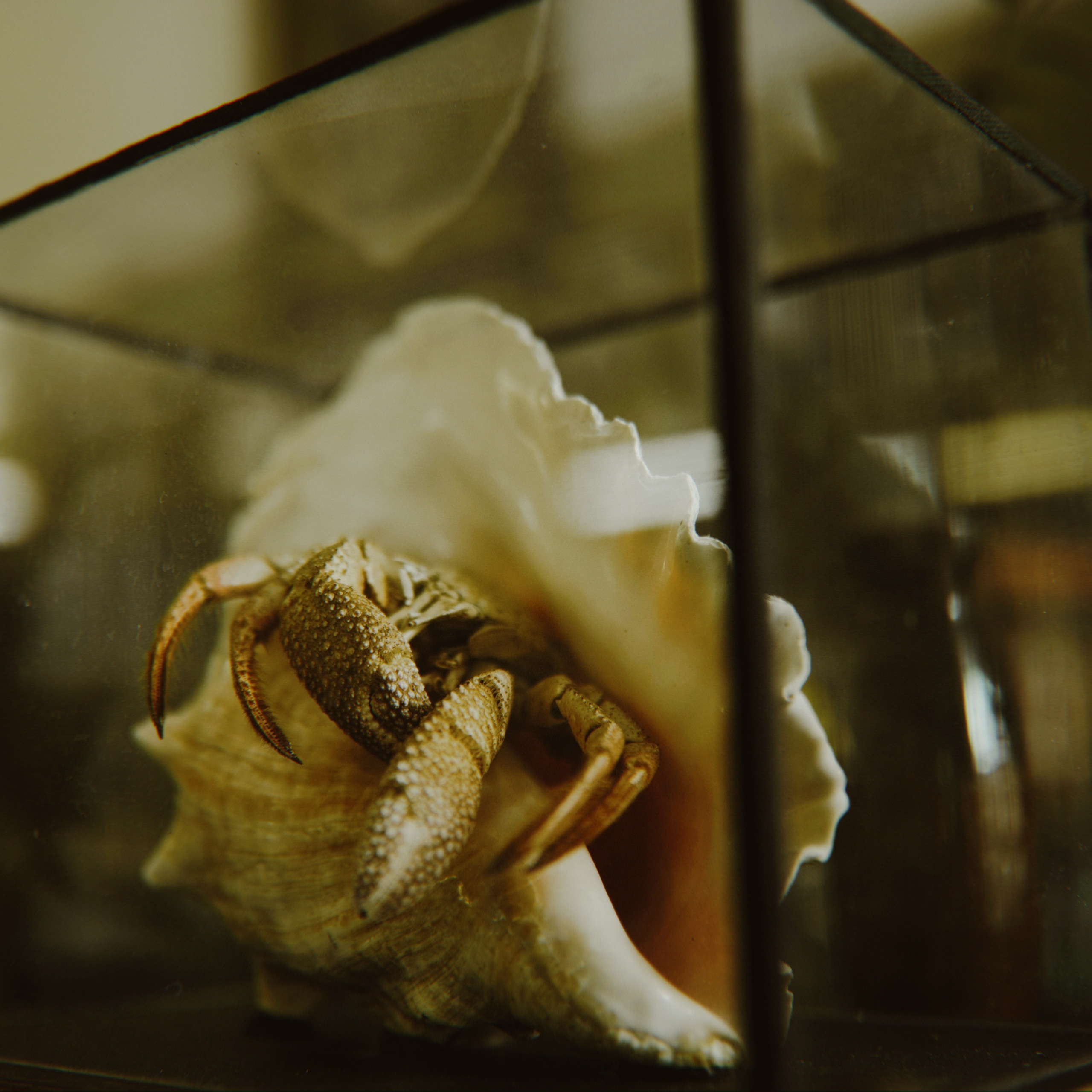 Наука. Стрит-фотография, полная абсурда, идиотизма и красоты