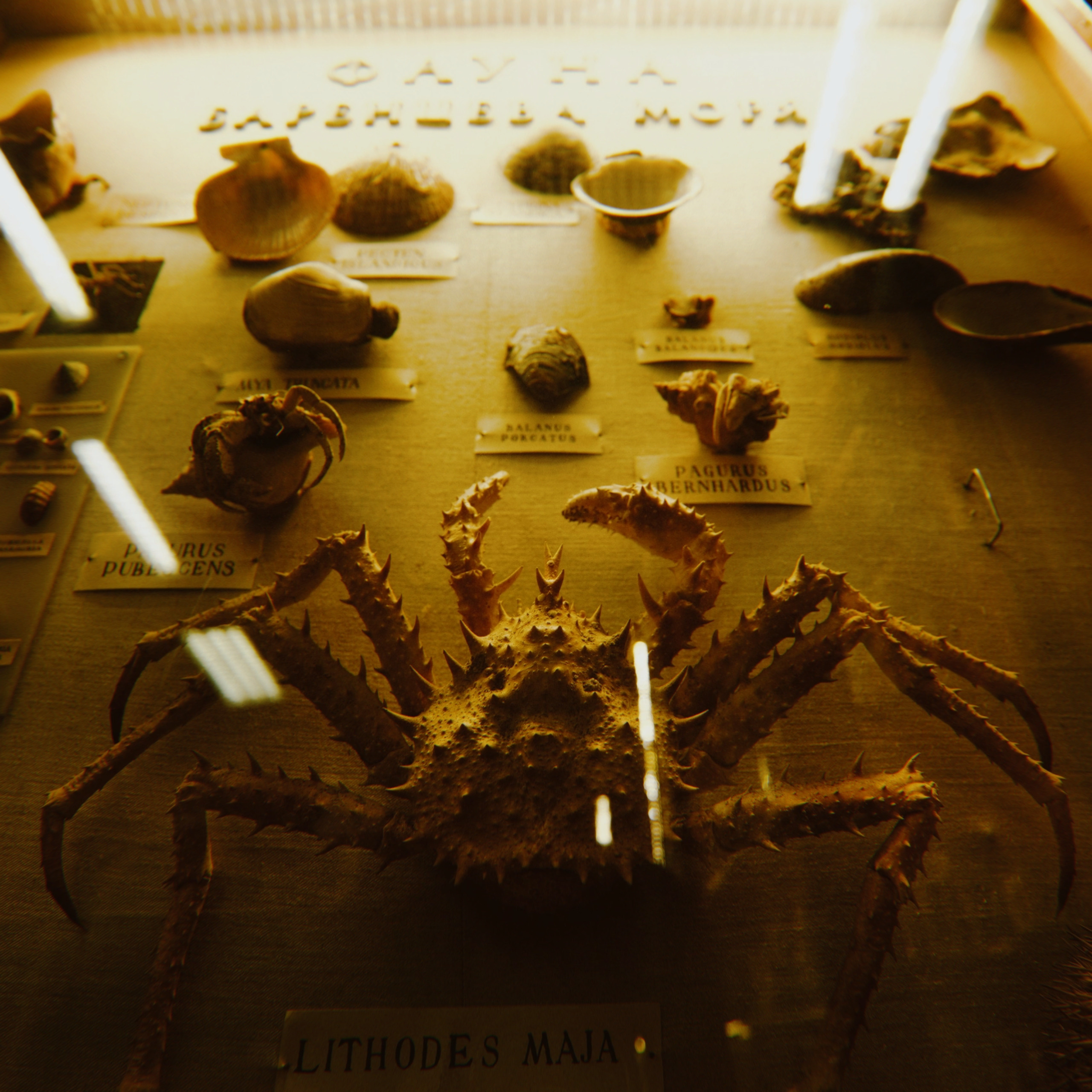 Наука. Стрит-фотография, полная абсурда, идиотизма и красоты