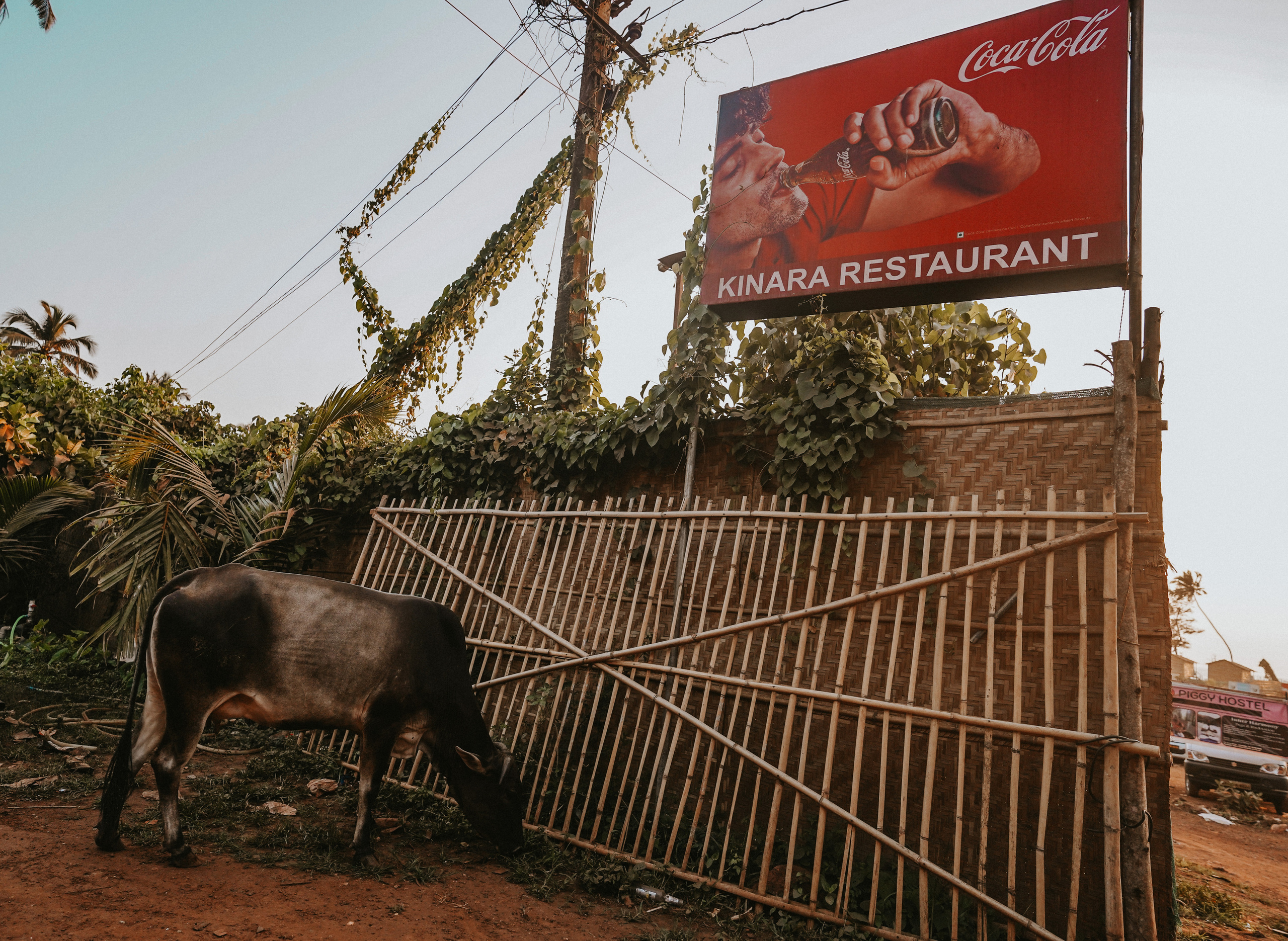 ИНДИЯ 2020. Стрит-фотография, полная абсурда, идиотизма и красоты