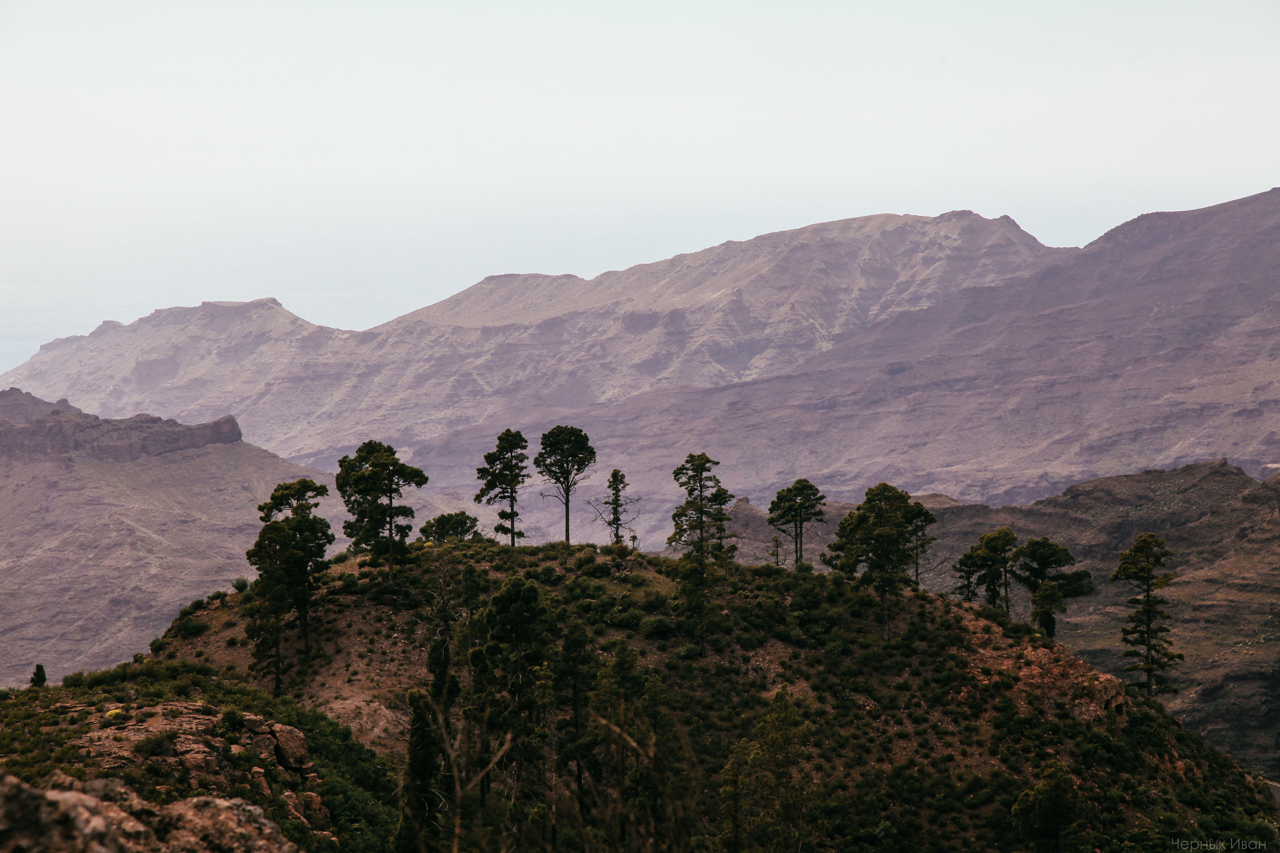 ИСПАНИЯ. Стрит-фотография, полная абсурда, идиотизма и красоты