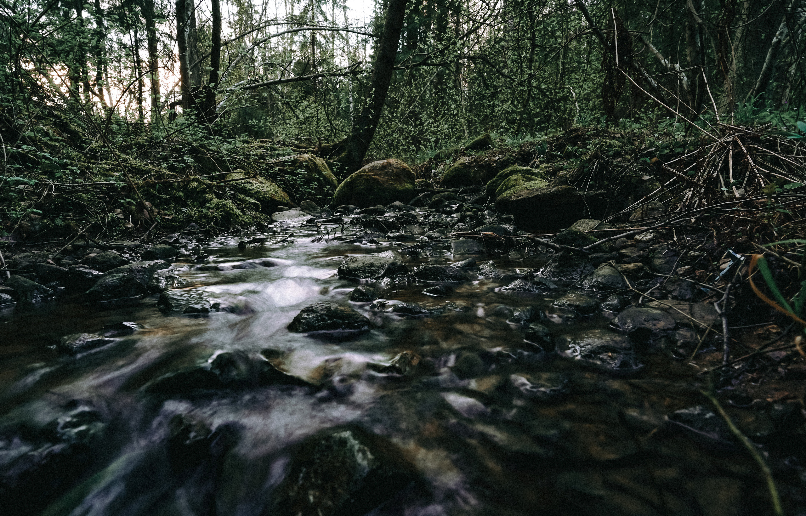 2020. Стрит-фотография, полная абсурда, идиотизма и красоты