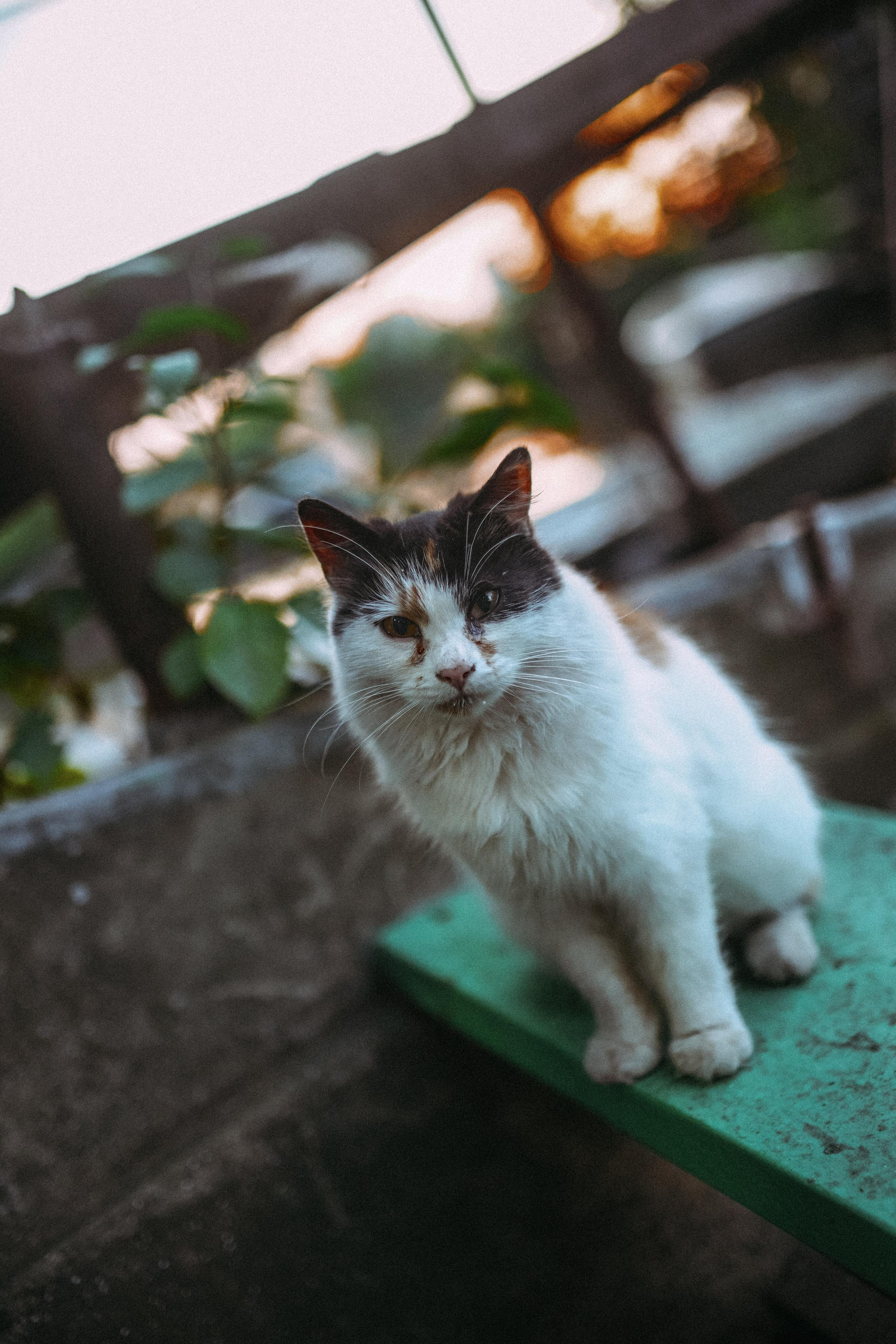 2022. Стрит-фотография, полная абсурда, идиотизма и красоты