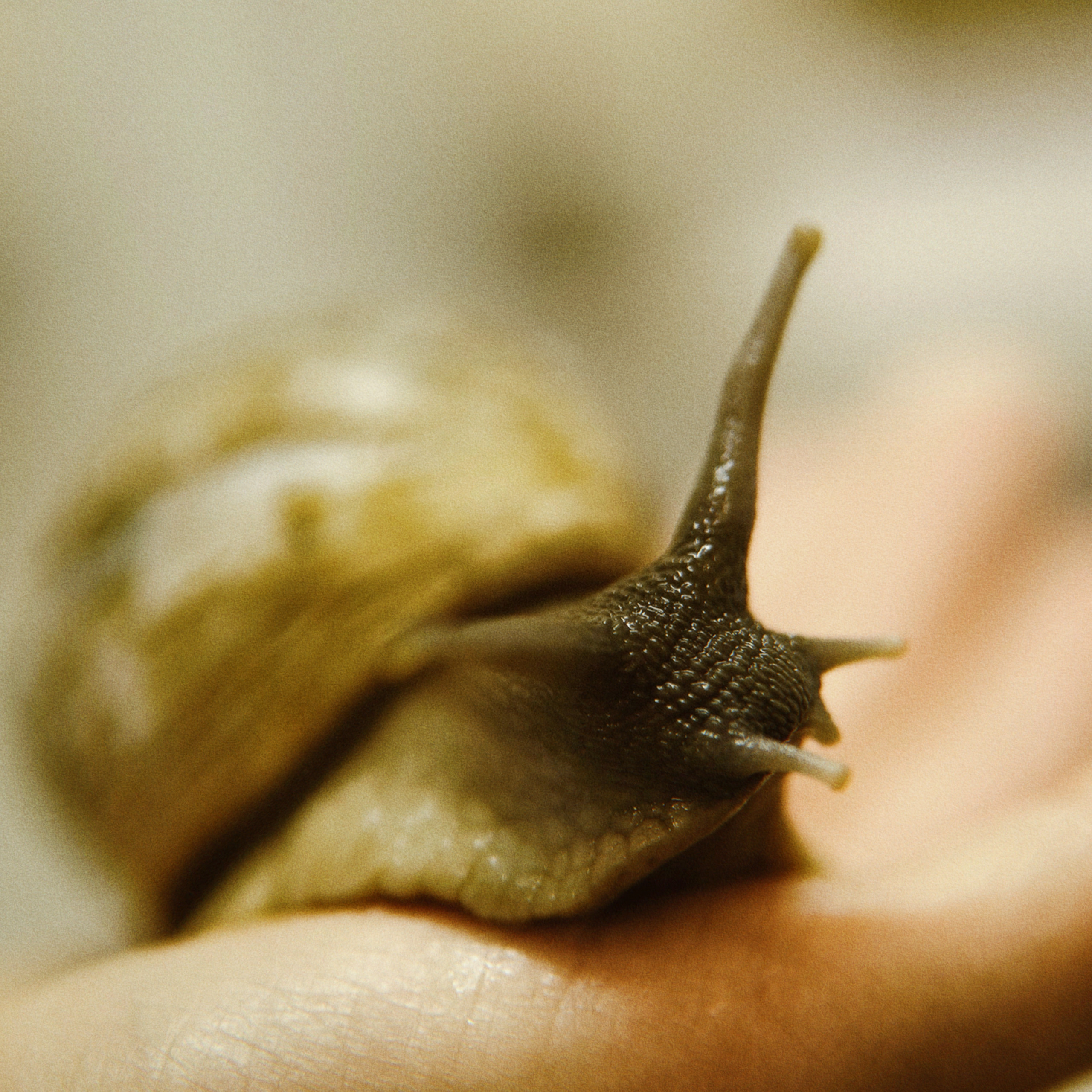 Наука. Стрит-фотография, полная абсурда, идиотизма и красоты